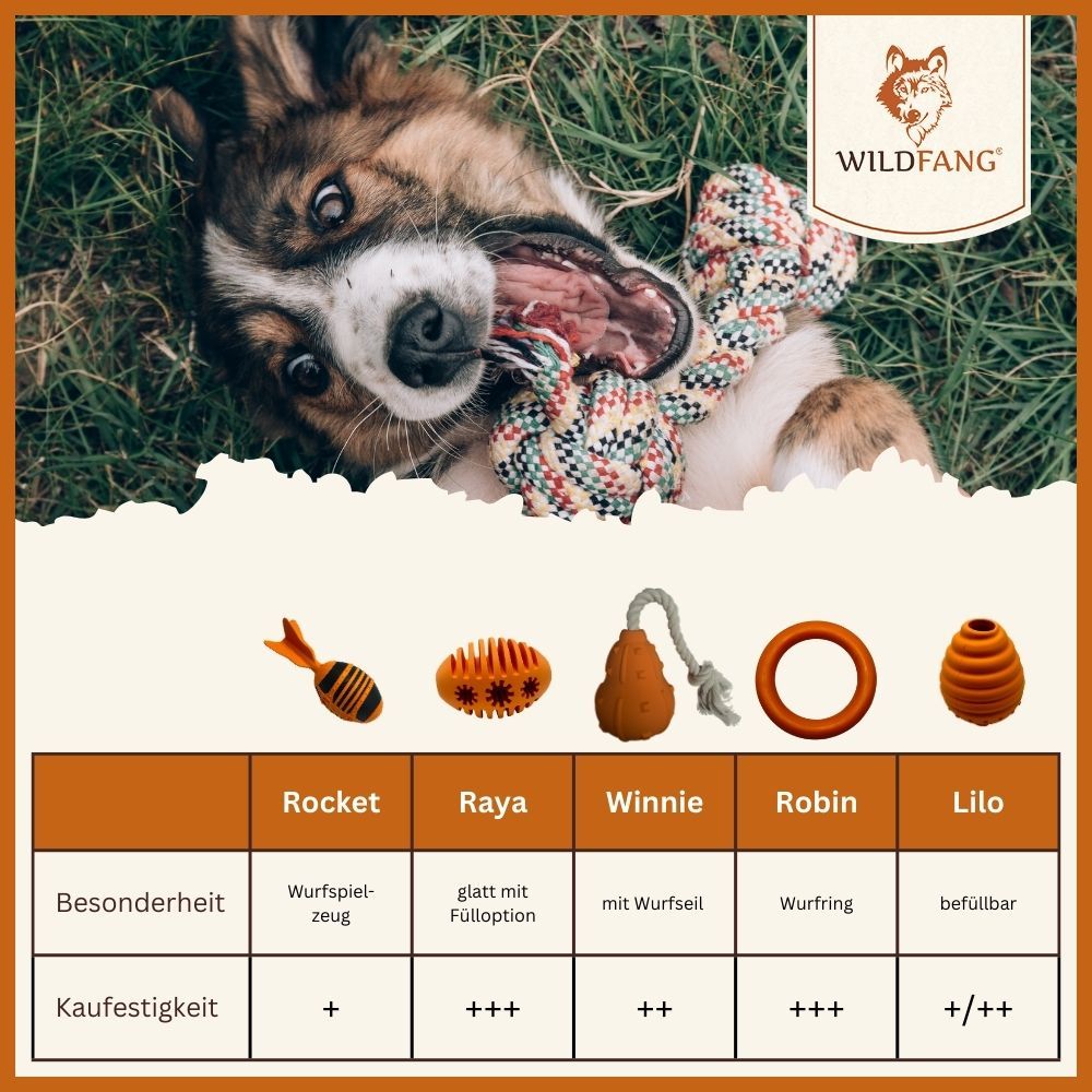 Hund mit verschiedenen Spielzeugen. Beißring "Raya" mit Noppen. Produktübersicht mit Kaufempfehlung.