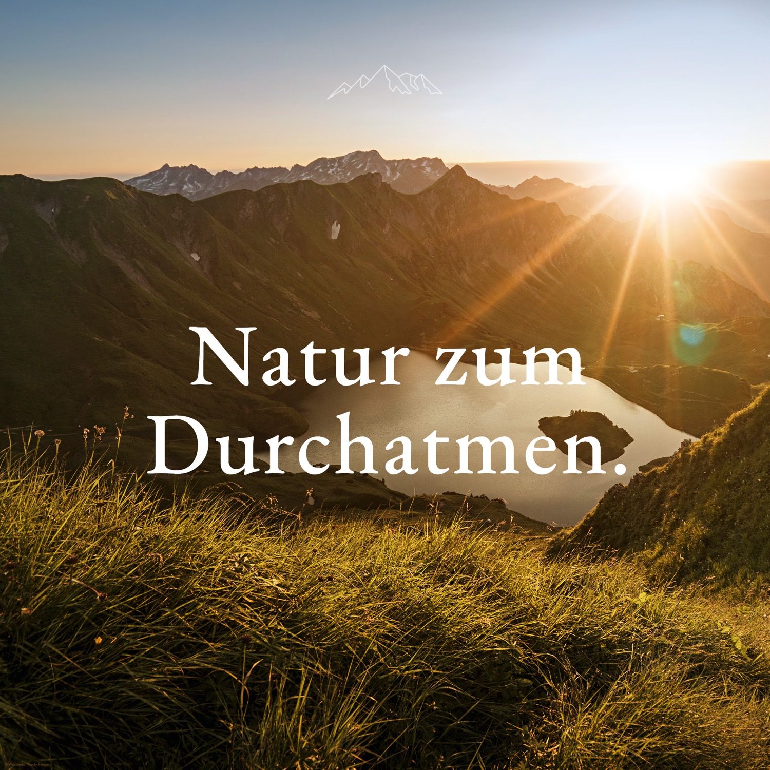 Allgäuquelle Bio Duftöl Duftmischung Atemwohl Eukalyptus, Salbei, Minze