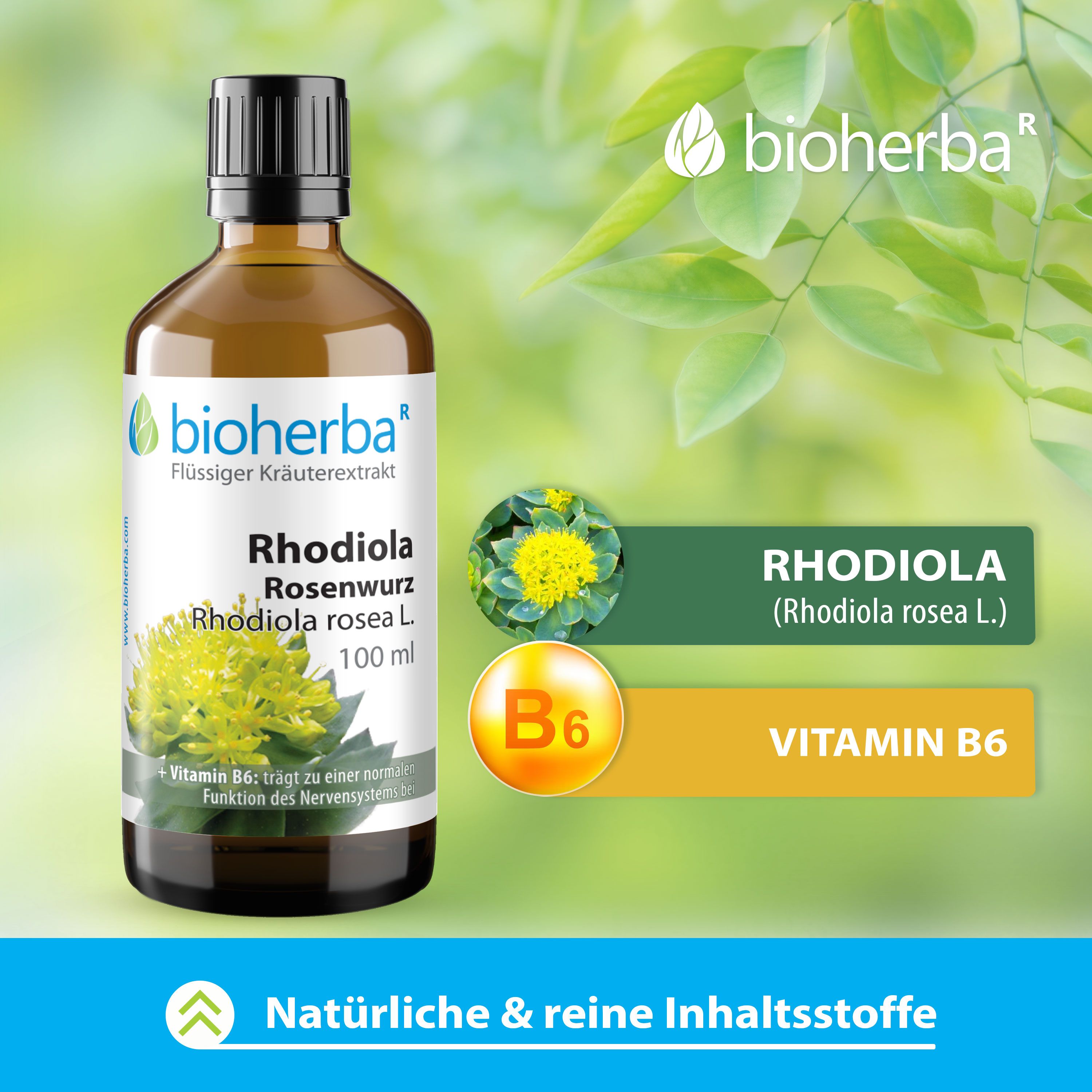 Bioherba Rhodiola Rosenwurz Rhodiola rosea L. Tropfen Tinktur