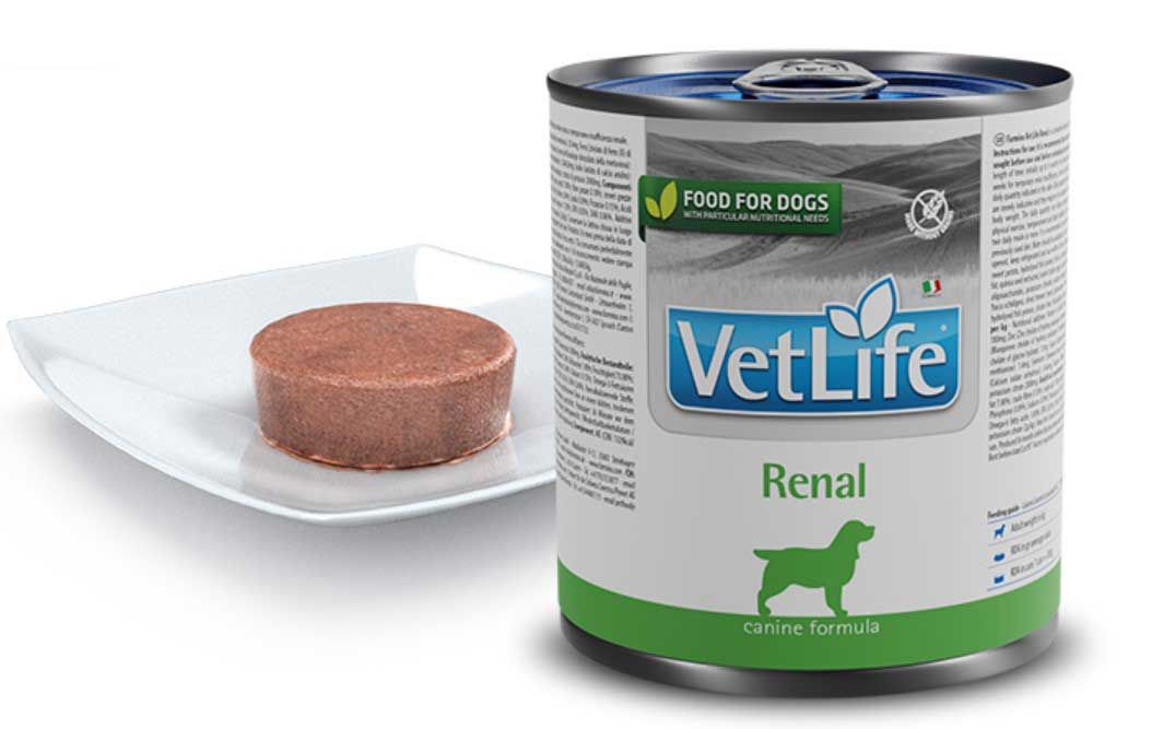 Hundefutterdose VetLife Renal neben einem Teller mit Futter. Dose mit Logo, Text und Hunde-Silhouette. Futter auf weißem Teller.