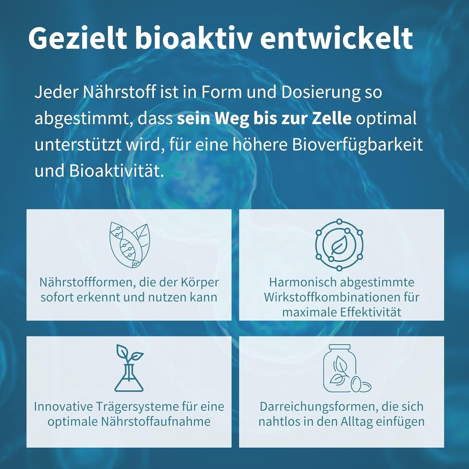 Vier Quadrate mit Text und Symbolen. Text: Nährstoffformen, Wirkstoffkombinationen, Trägersysteme, Darreichungsformen.