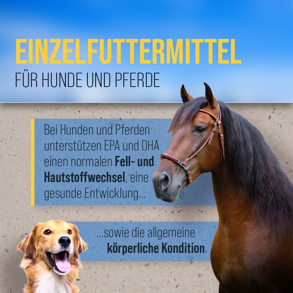 Werbebild mit Hund und Pferd. Text: Einzelfuttermittel für Hunde und Pferde. EPA und DHA unterstützen Fell- und Hautstoffwechsel.