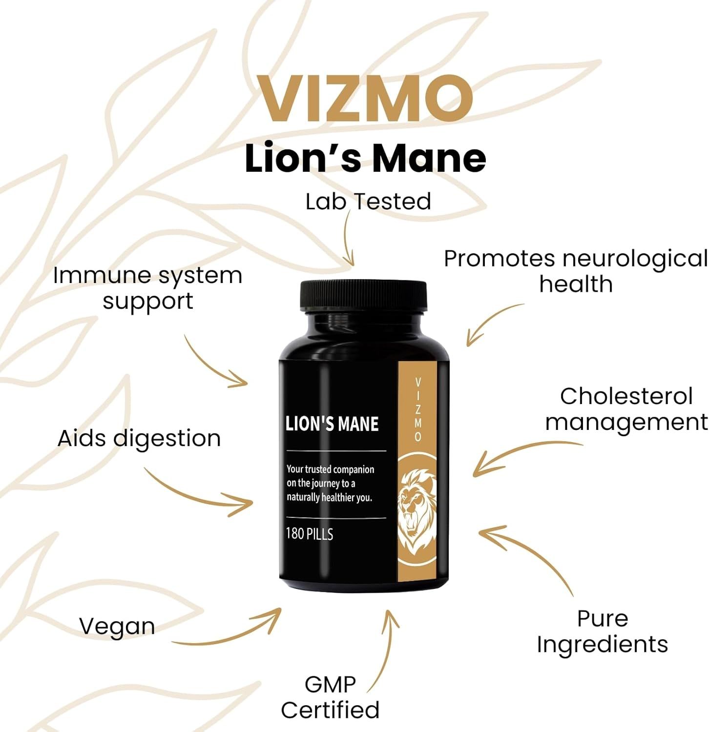 Vizmo Gehirnleistung Lions Mane Kapseln