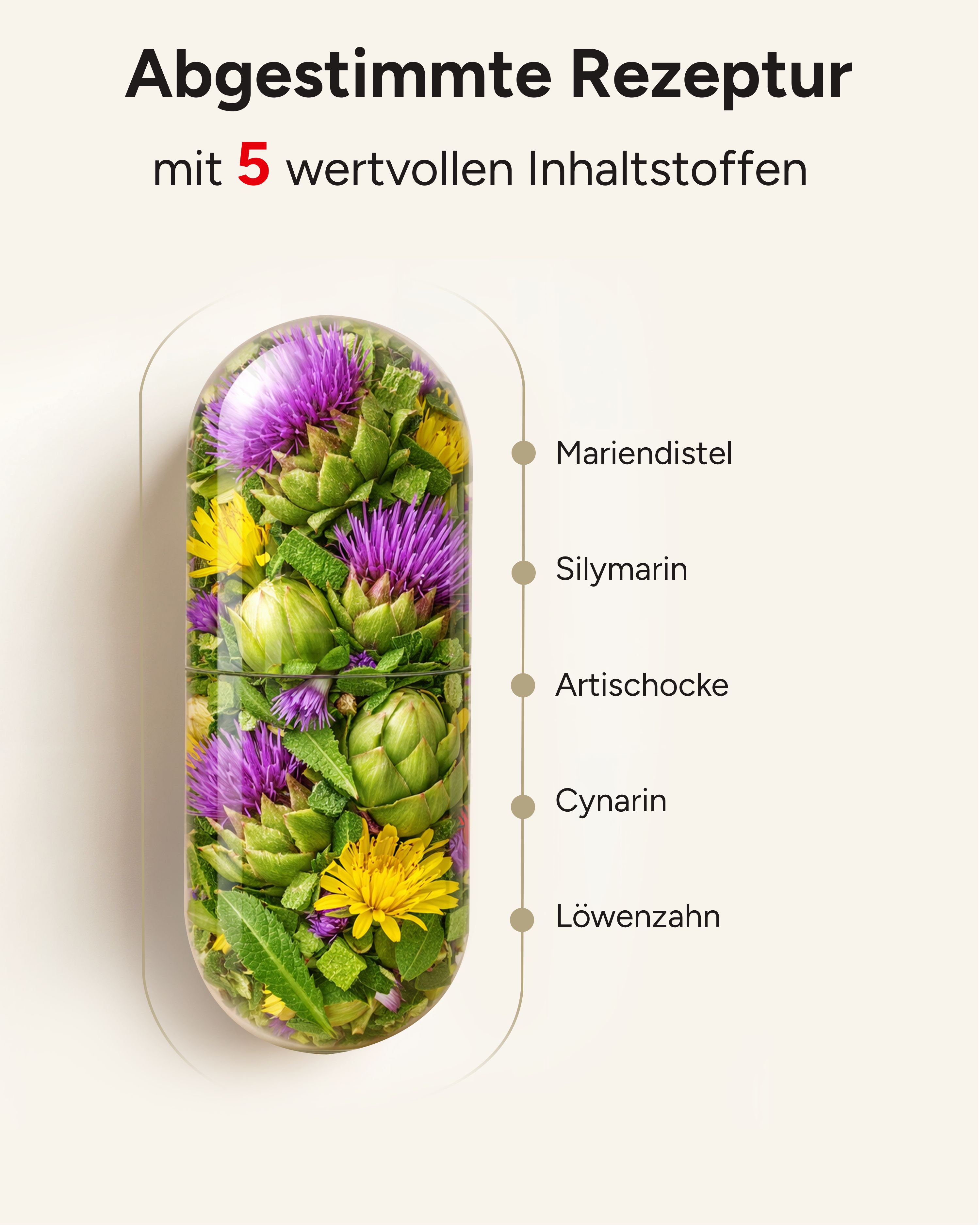 plantomol® Mariendistel Kapseln mit Artischocke & Löwenzahn