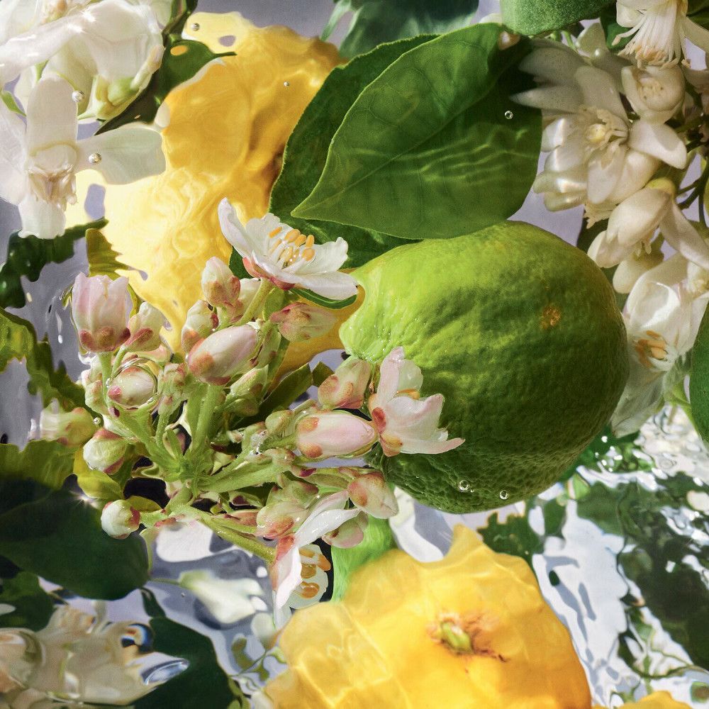 Nahaufnahme von Zitronen, Limetten und Blüten in Wasser. Keine Produktbezeichnung sichtbar.