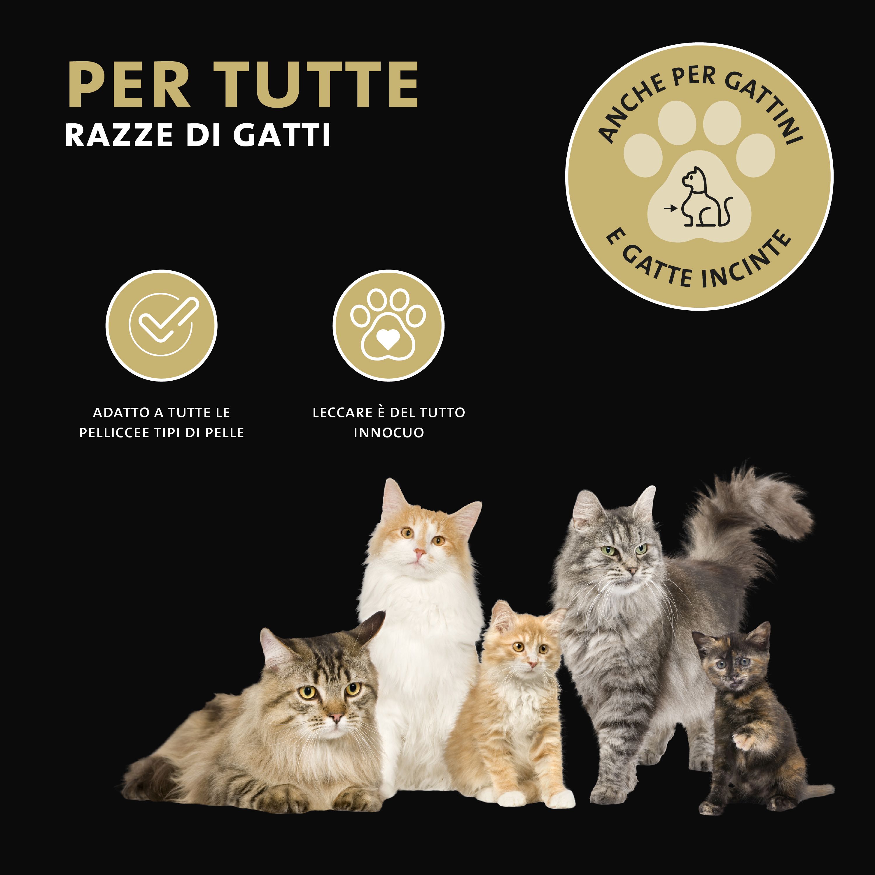 Katzen verschiedener Rassen. Text: Für alle Katzenrassen. Geeignet für Kätzchen und trächtige Katzen. Goldfarbenes Logo.