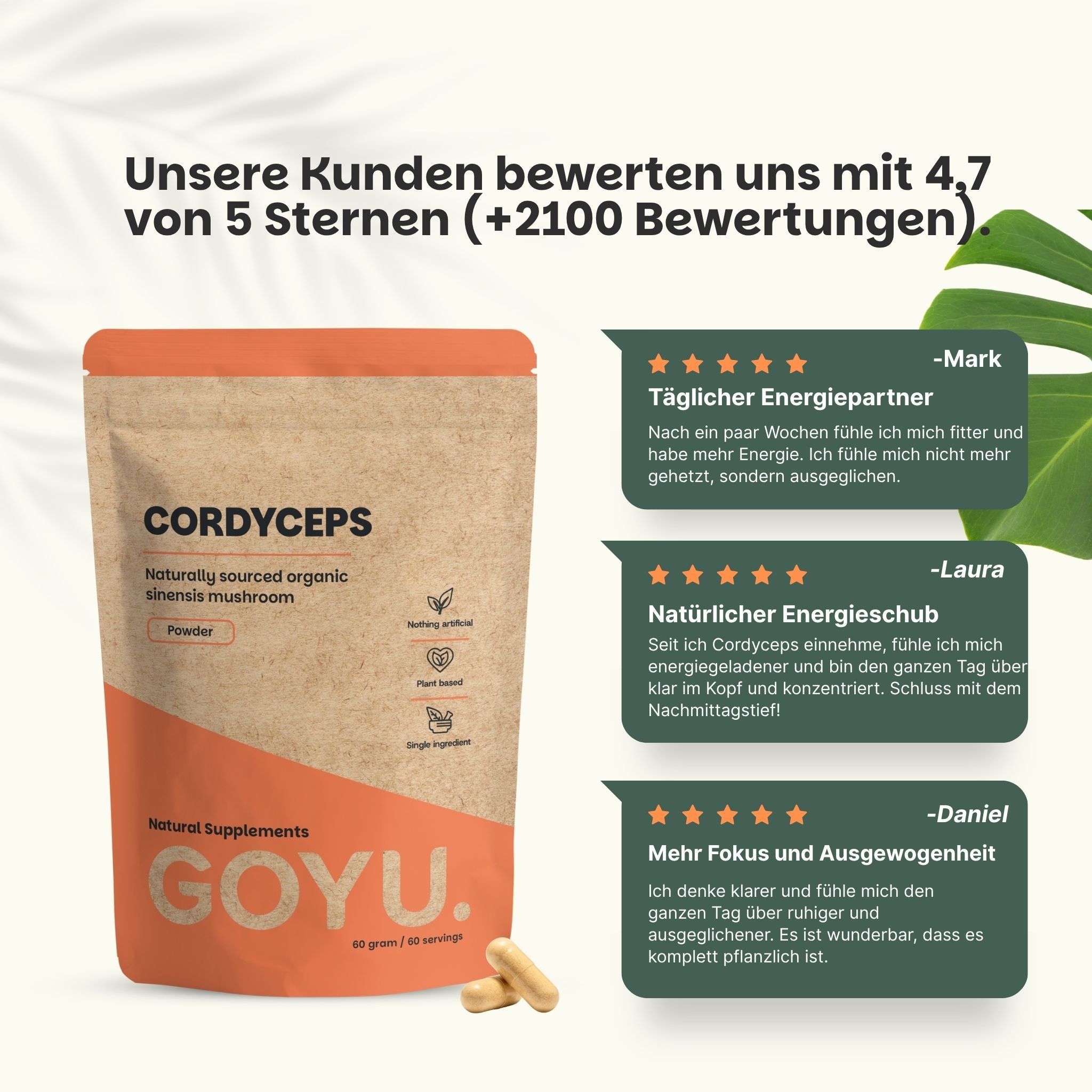 100% natürliche Cordyceps-Kapseln: EU-gekauft, NL-geprüft. 400 mg pro Kapsel. Für 1 Monat Dosen.