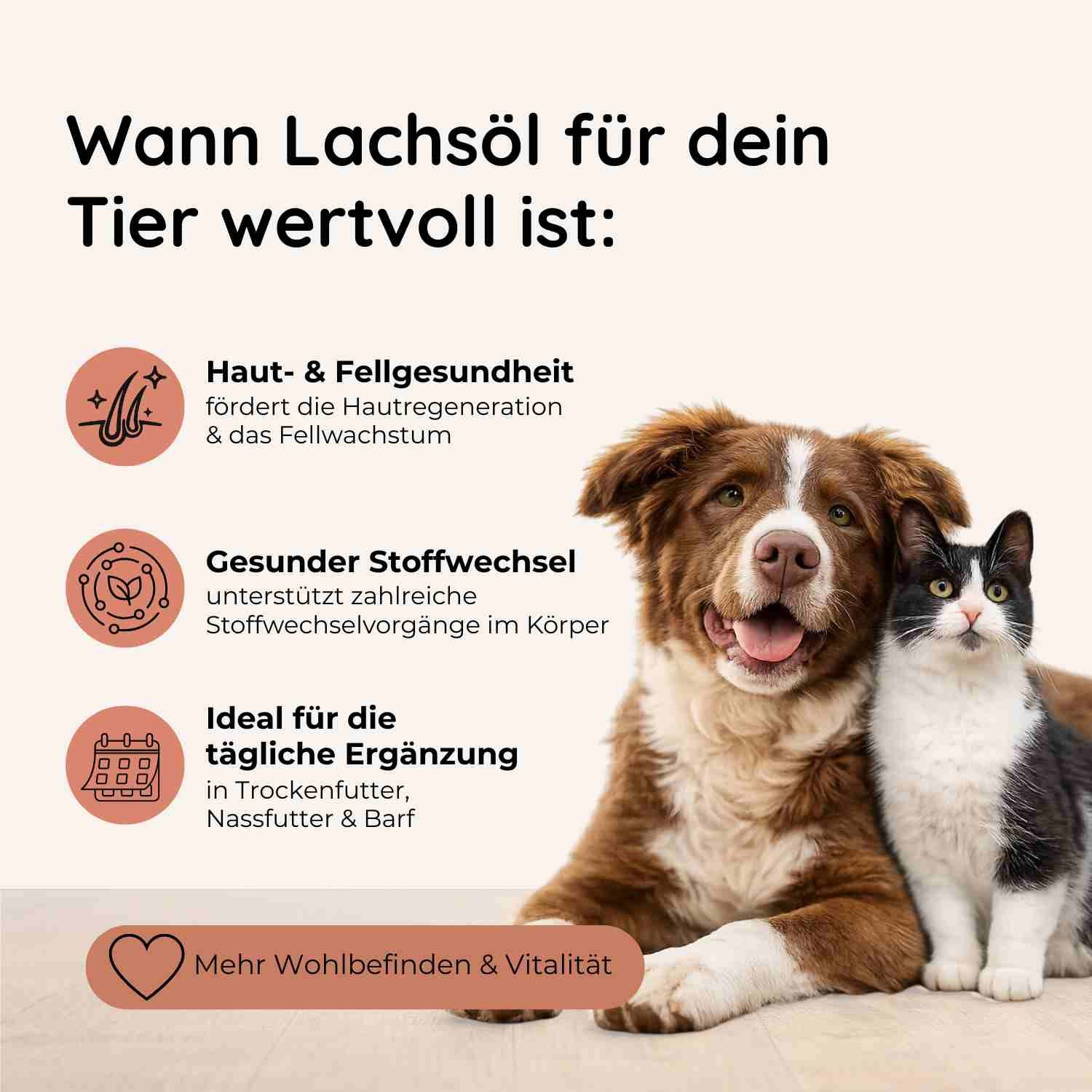Hund und Katze nebeneinander. Symbole für Haut & Fell, Stoffwechsel und tägliche Ergänzung.