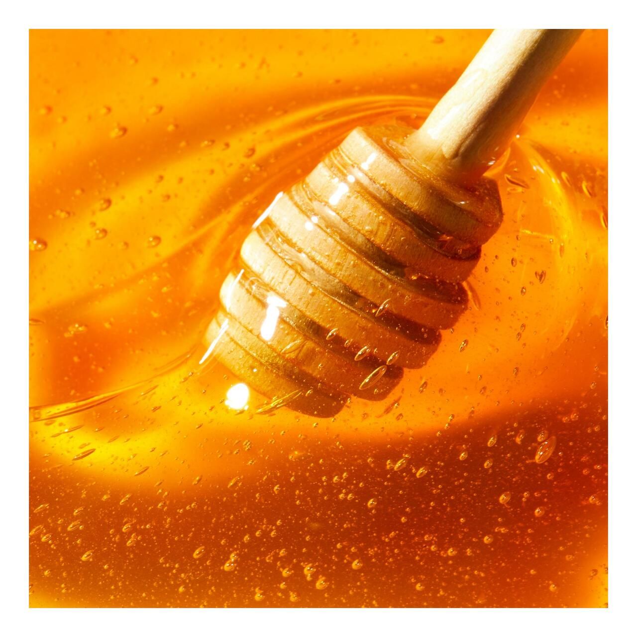 Honigwabe und Lippenpflegeöl. Applikator sichtbar. Honig tropft.