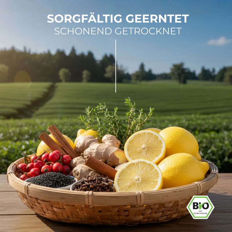 Immun-Bundle - Manuka Honug mit Schwarzkümmelöl & Schwarzkümmel-Tee