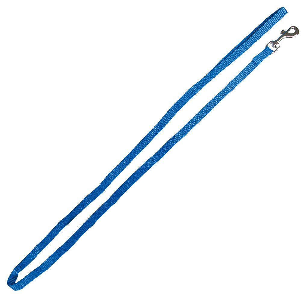 Blaue Nylon-Leine mit Karabinerhaken.