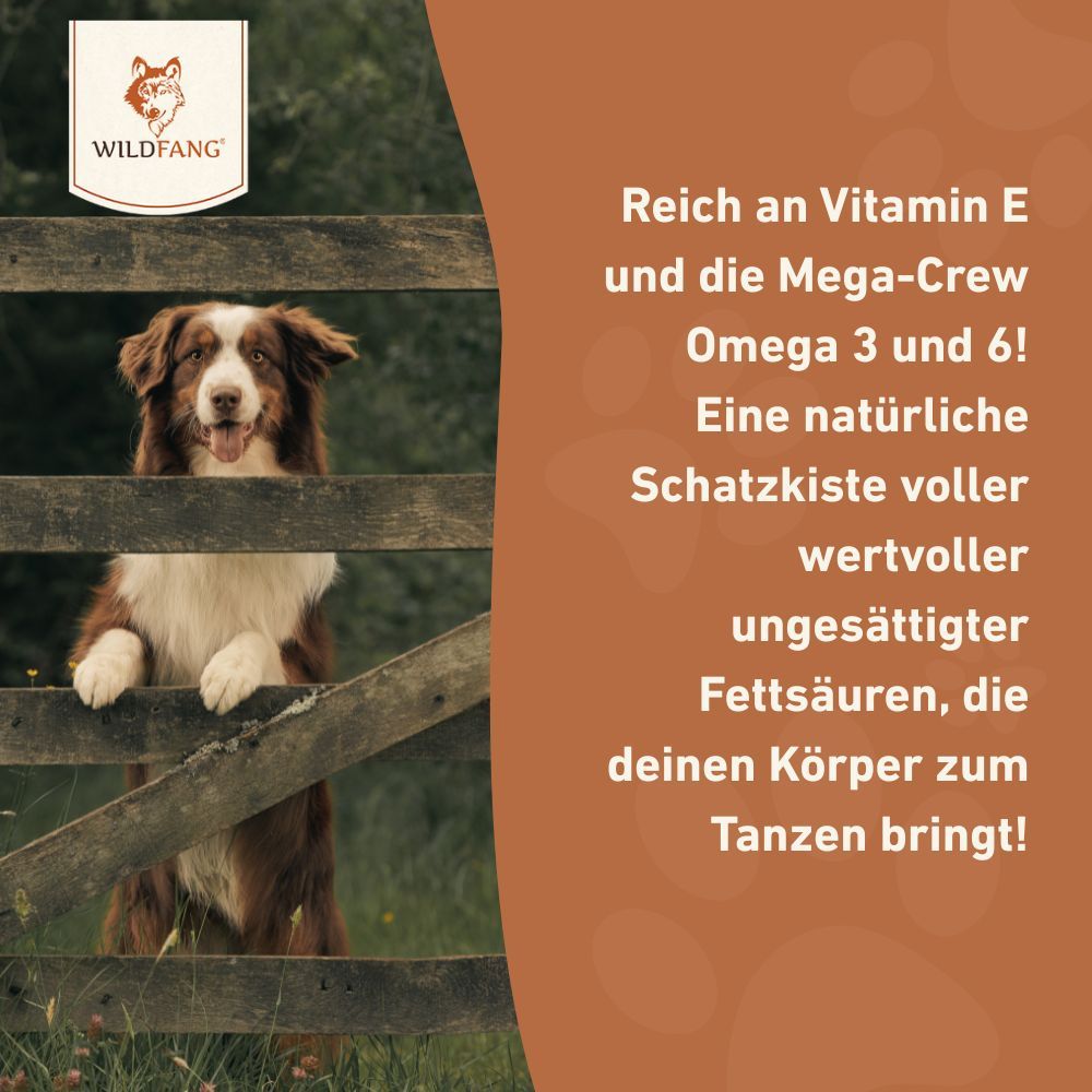 Lachsöl – 100 % natürliches BARF-Öl für Hunde