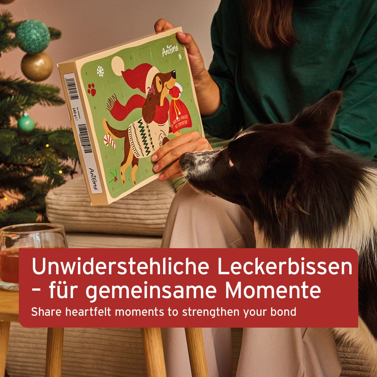 Adventskalender für Hunde mit Hund-Illustration. Marke AniForte. Person hält Kalender. Text: Unwiderstehliche Leckerbissen - für gemeinsame Momente.