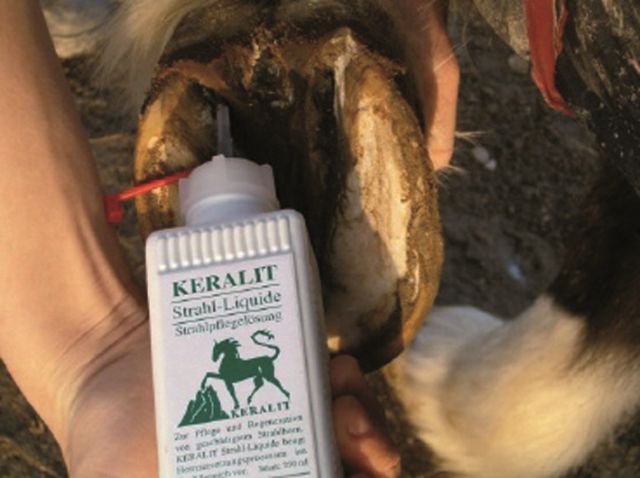 Keralit® Strahl-Liquid-Flasche neben einem Huf. Etikett mit Produktnamen und Logo.
