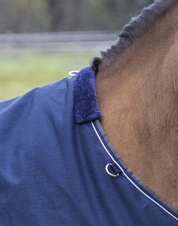 Equitheme Tyrex Outdoordecke