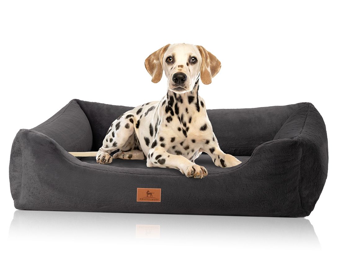 Knuffelwuff orthopädisches Hundebett Schnuffelupagus