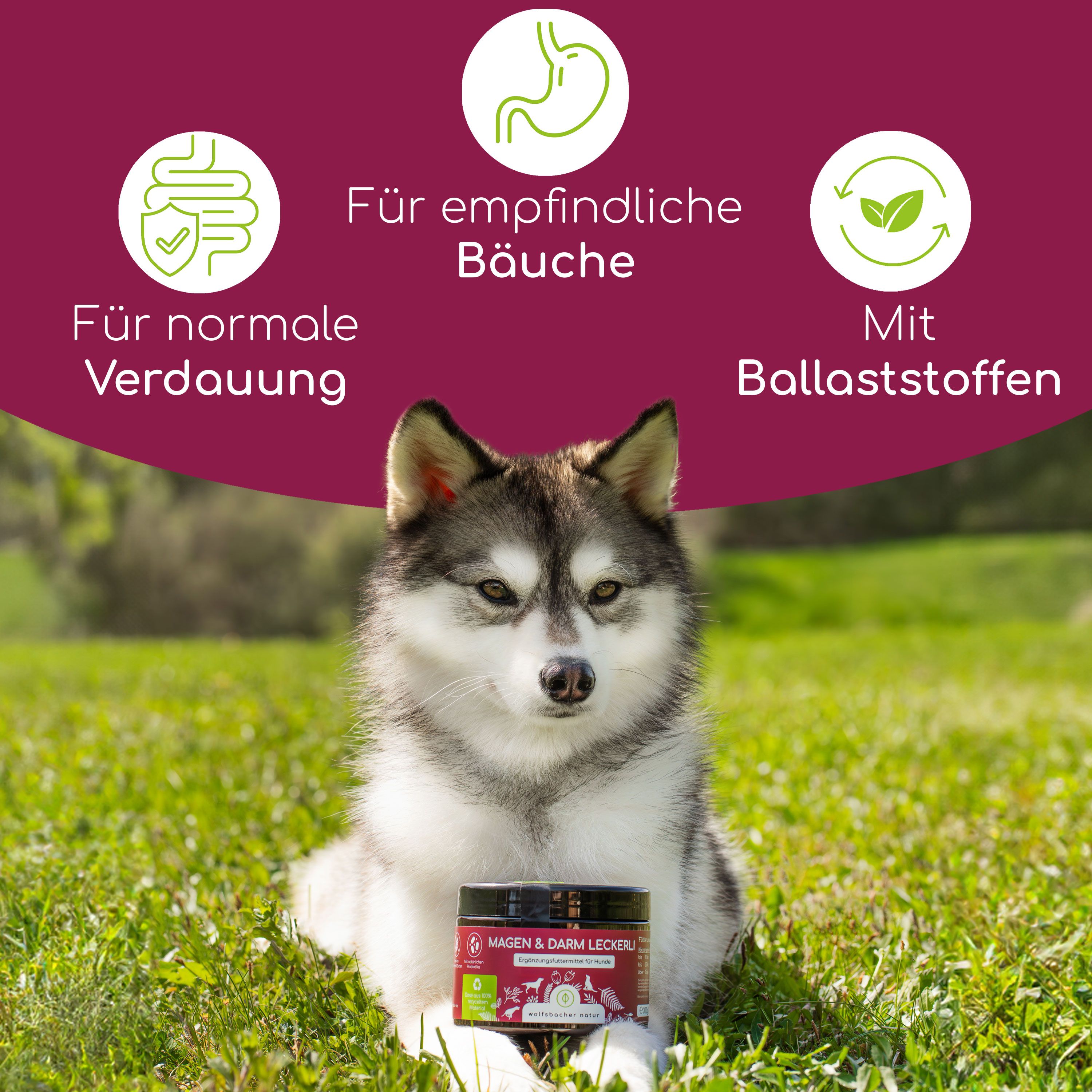 Hund sitzt vor Dose mit Aufschrift. Text: Für normale Verdauung, Für empfindliche Bäuche, Mit Ballaststoffen. Logo: Bio-Siegel.