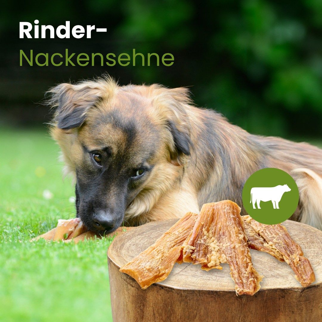 Drei getrocknete Rinder-Nackensehnen, hellbraun und faserig.