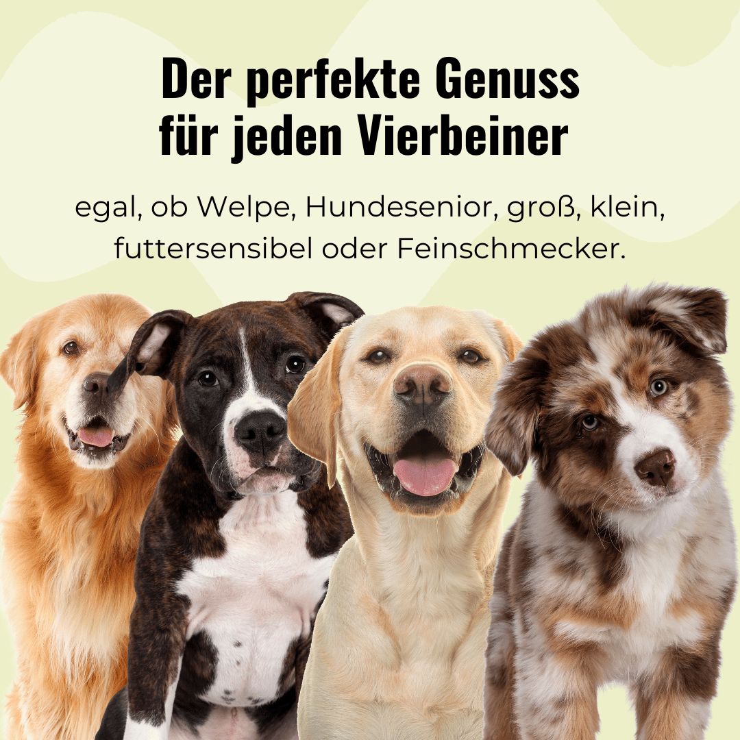Mehrere getrocknete Hundekauartikel auf hellem Hintergrund.