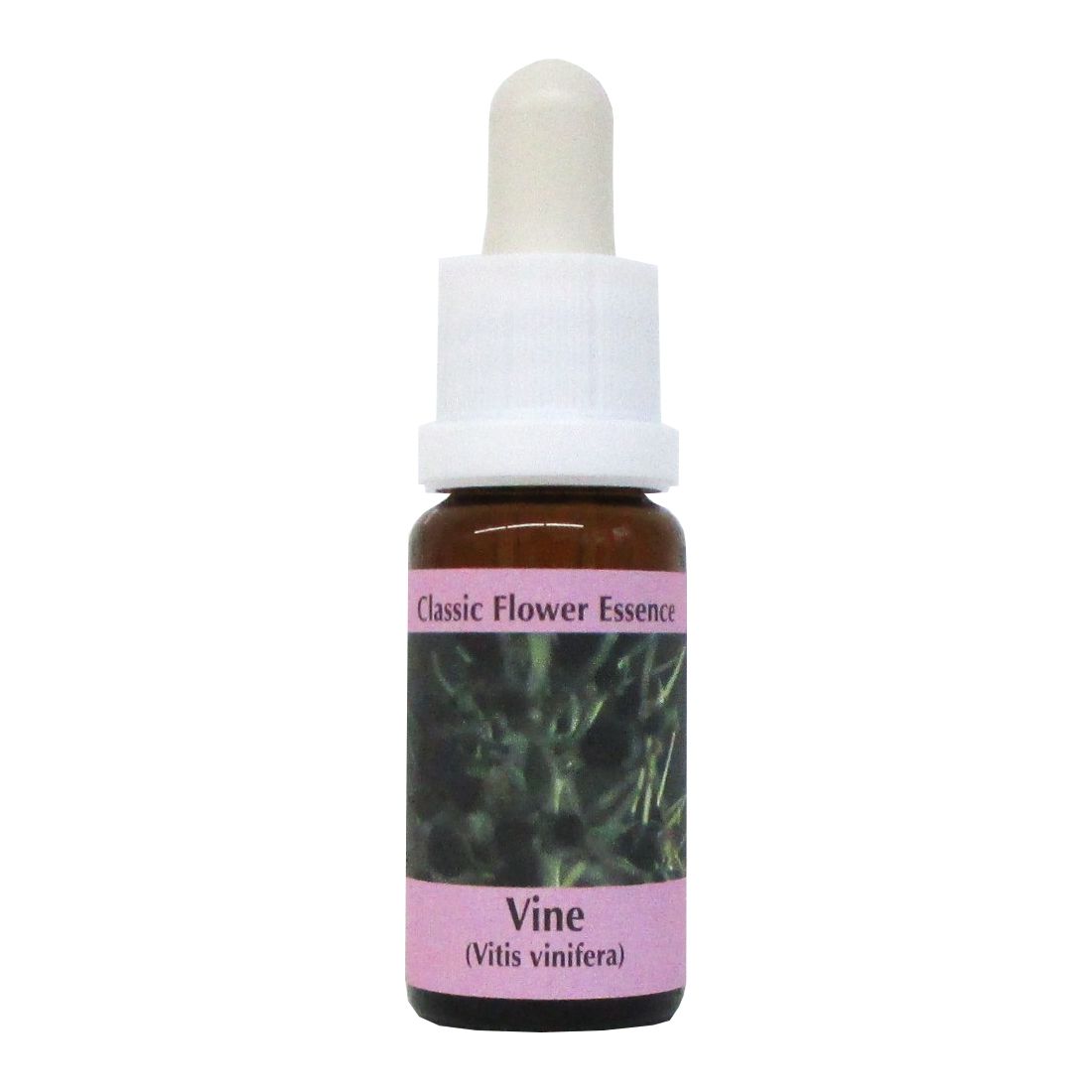 PHI Essences - Vine Bachblüte Nr. 32