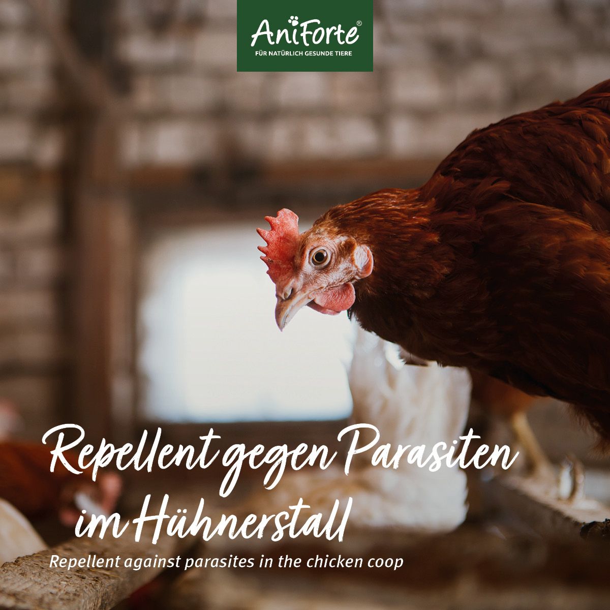 AniForte Milben-STOP Spray für Hühner & Geflügel