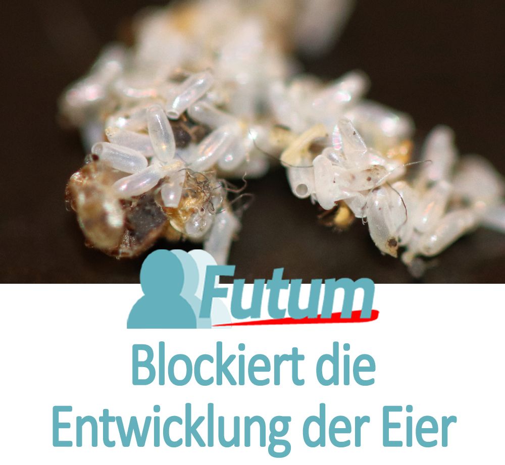 FUTUM Universal Insektenspray