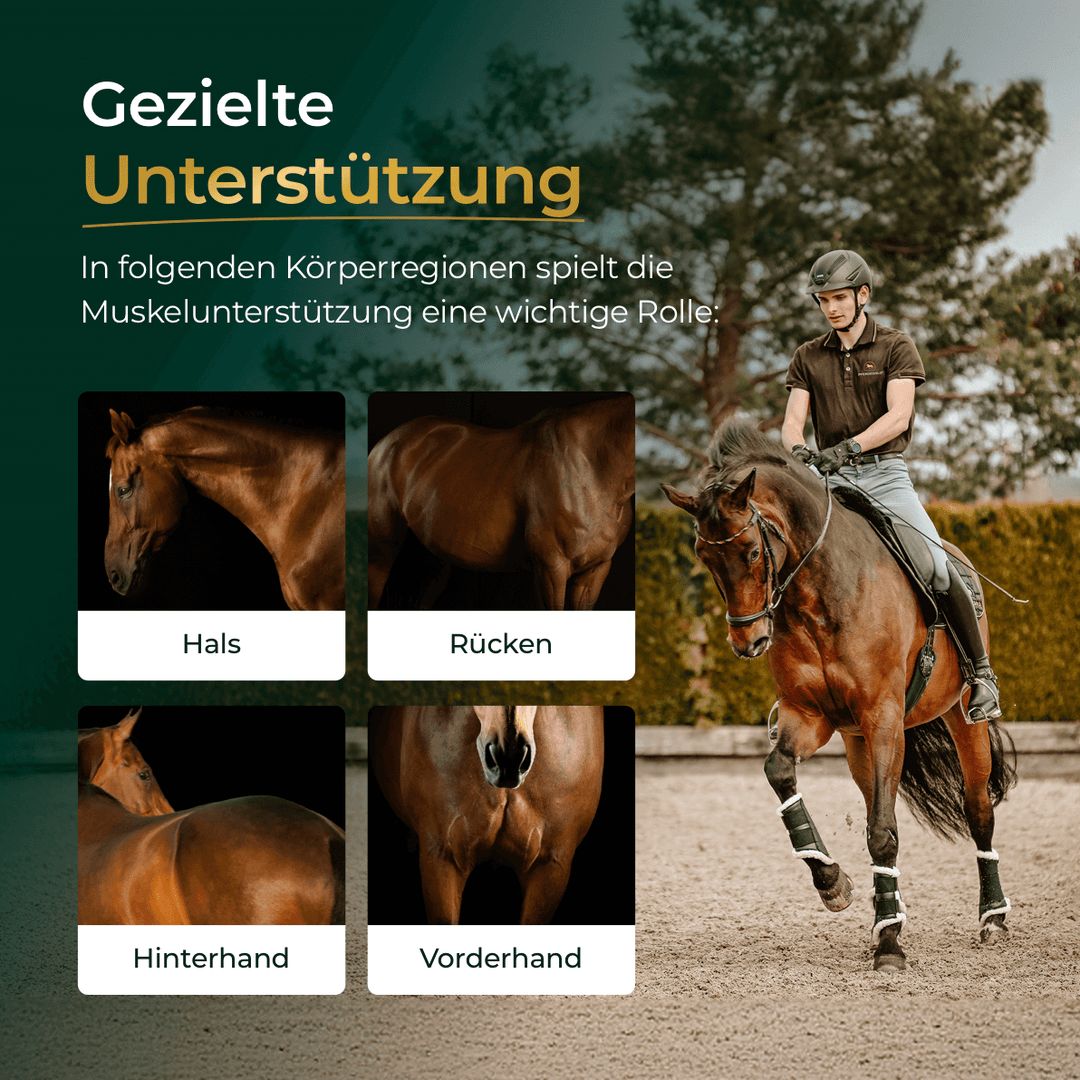 Pferdegold Muskeln sojafrei