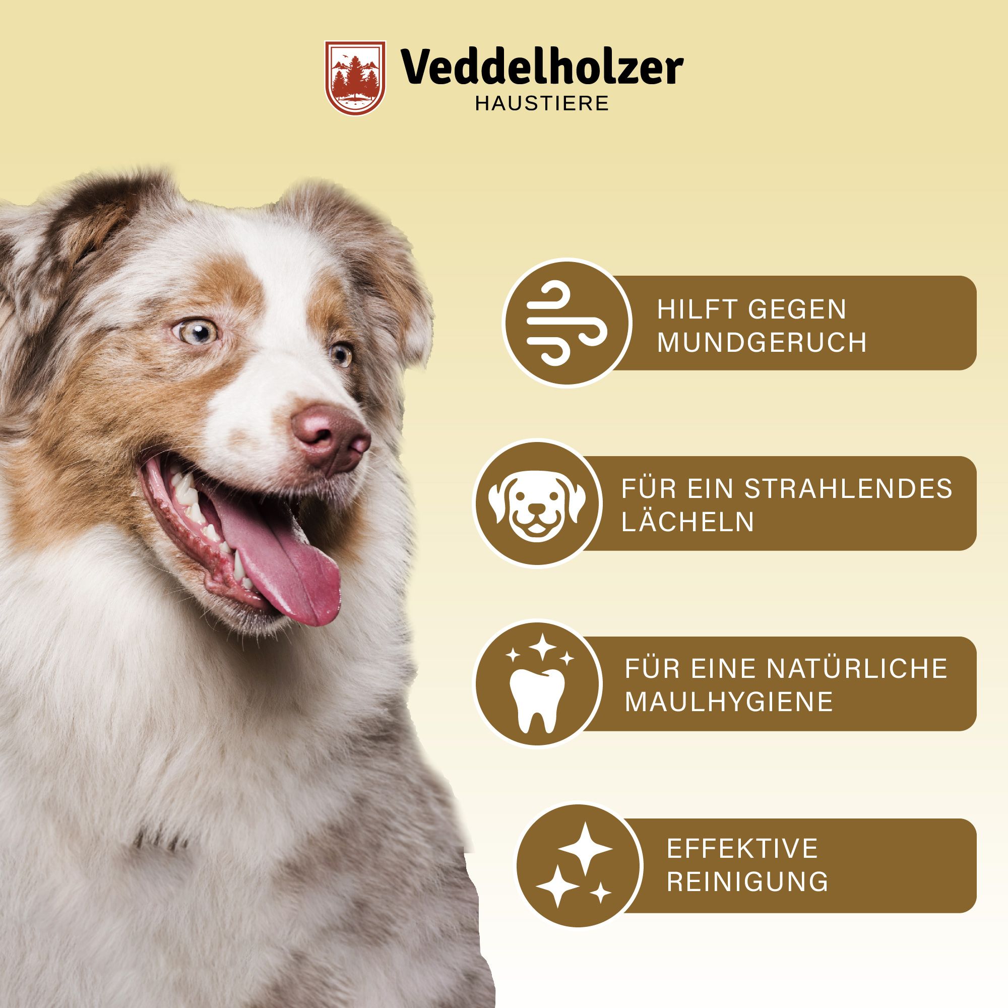 Veddelholzer Probiotisches Dentalspray Set für Hunde & Katzen
