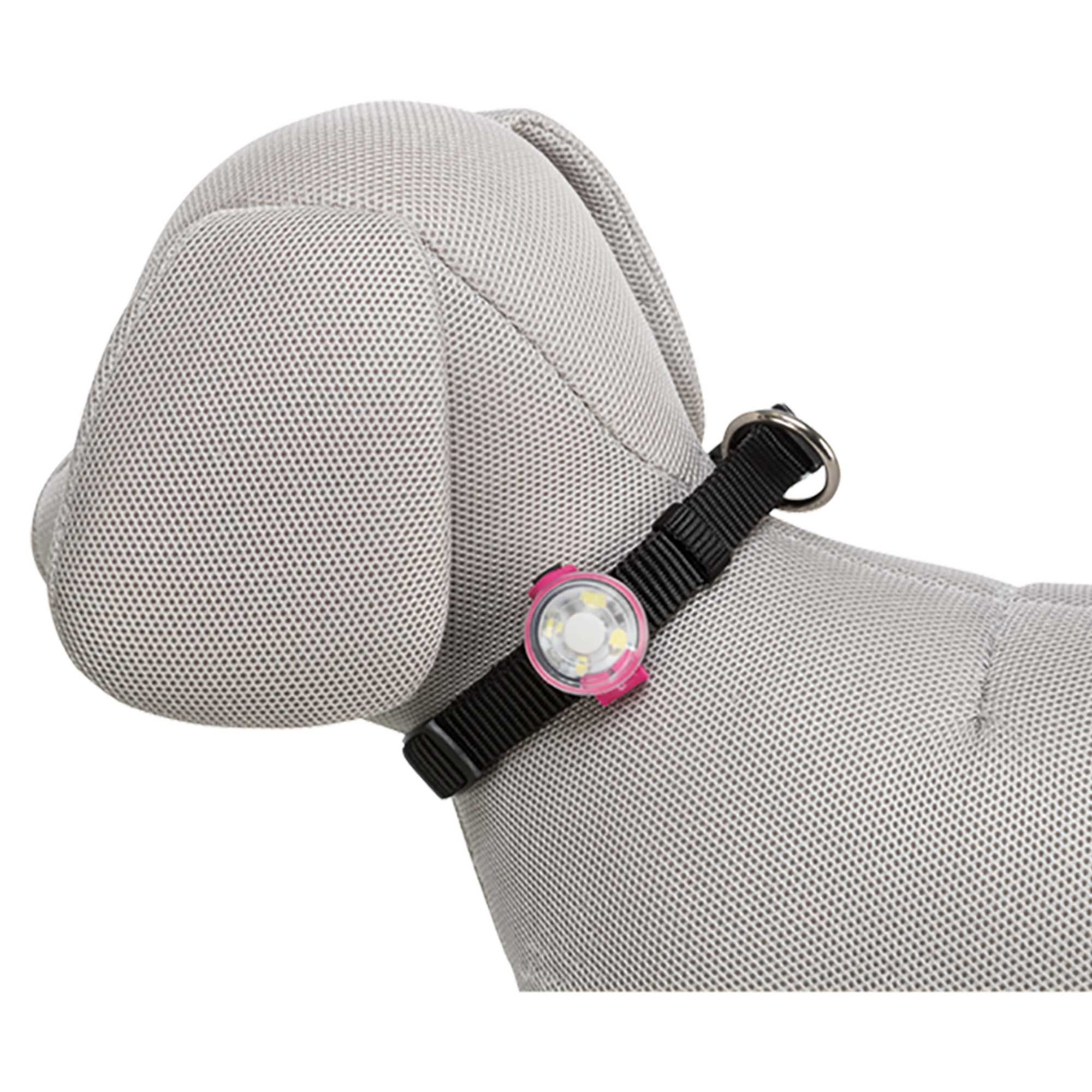 Ein pinkfarbenes LED-Blinklicht am Halsband eines grauen Stofftiers. Das Licht ist am Halsband befestigt.