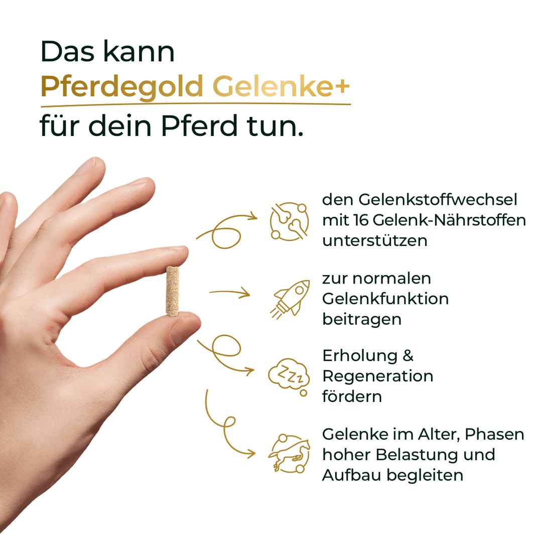 Pferdegold Gelenke+