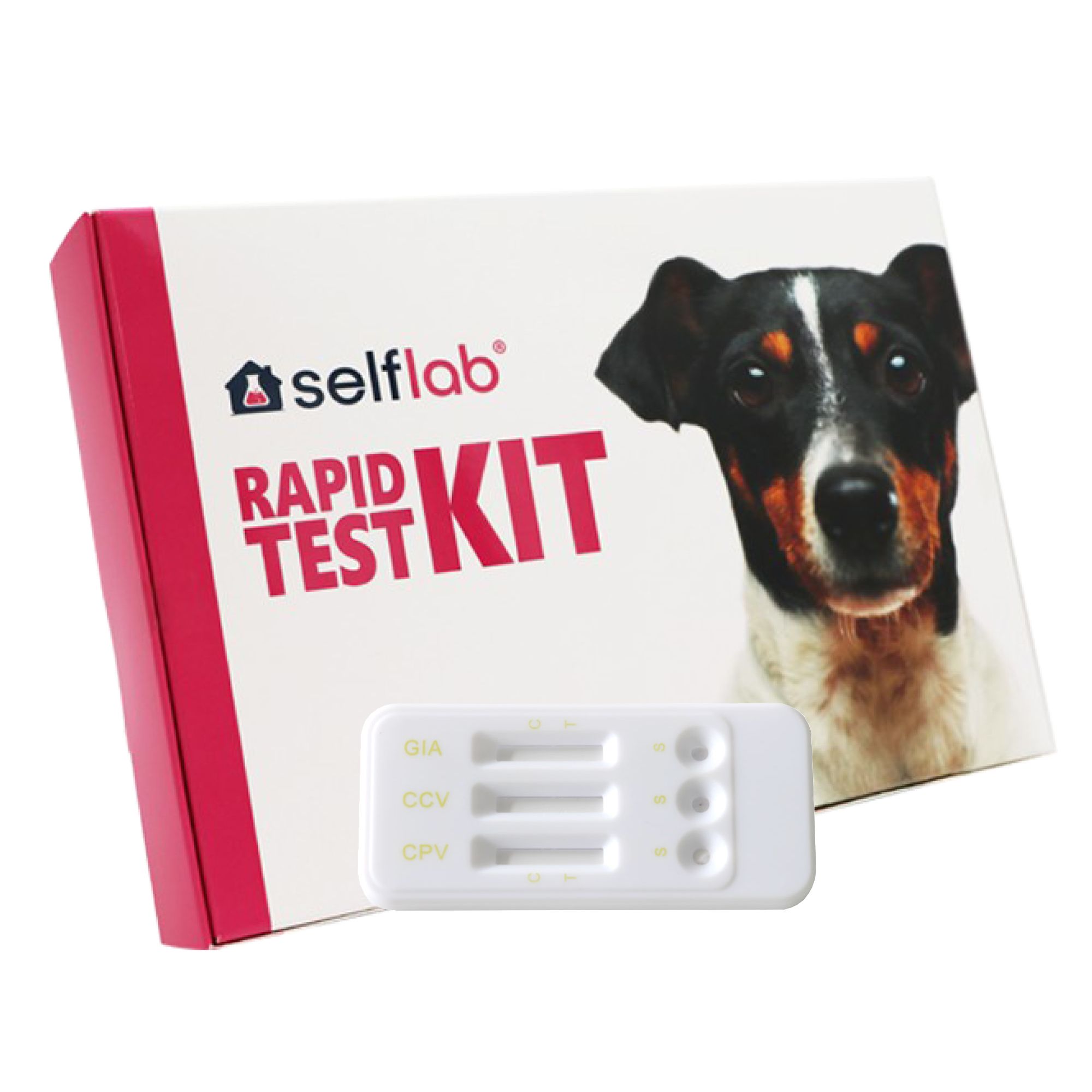 selflab Schnelltest Magen-Darm-Erkrankungen bei Hunden - Parvovirus, Coronavirus & Giardia Antigen