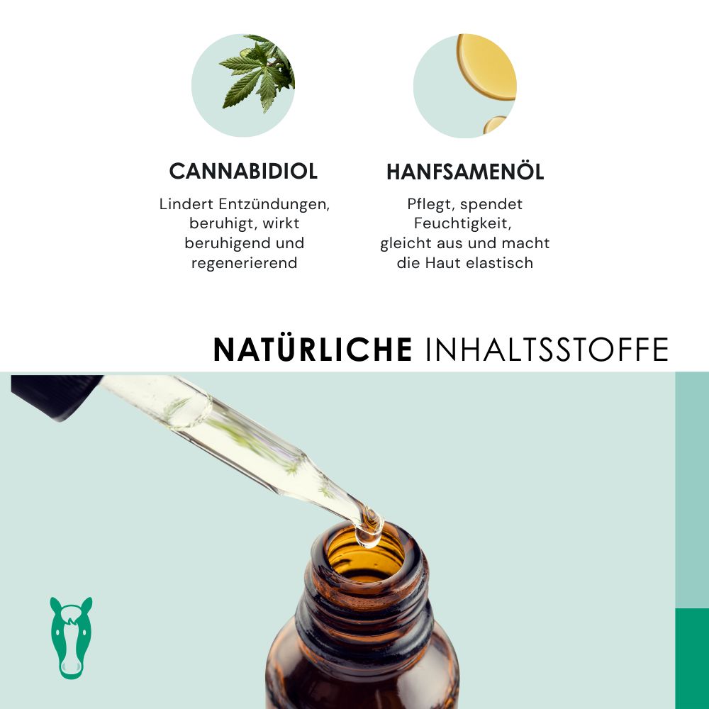 Inhaltsstoffe: Cannabidiol, Hanfsamenöl. Tropfen fallen in Flasche. Natürliche Inhaltsstoffe.
