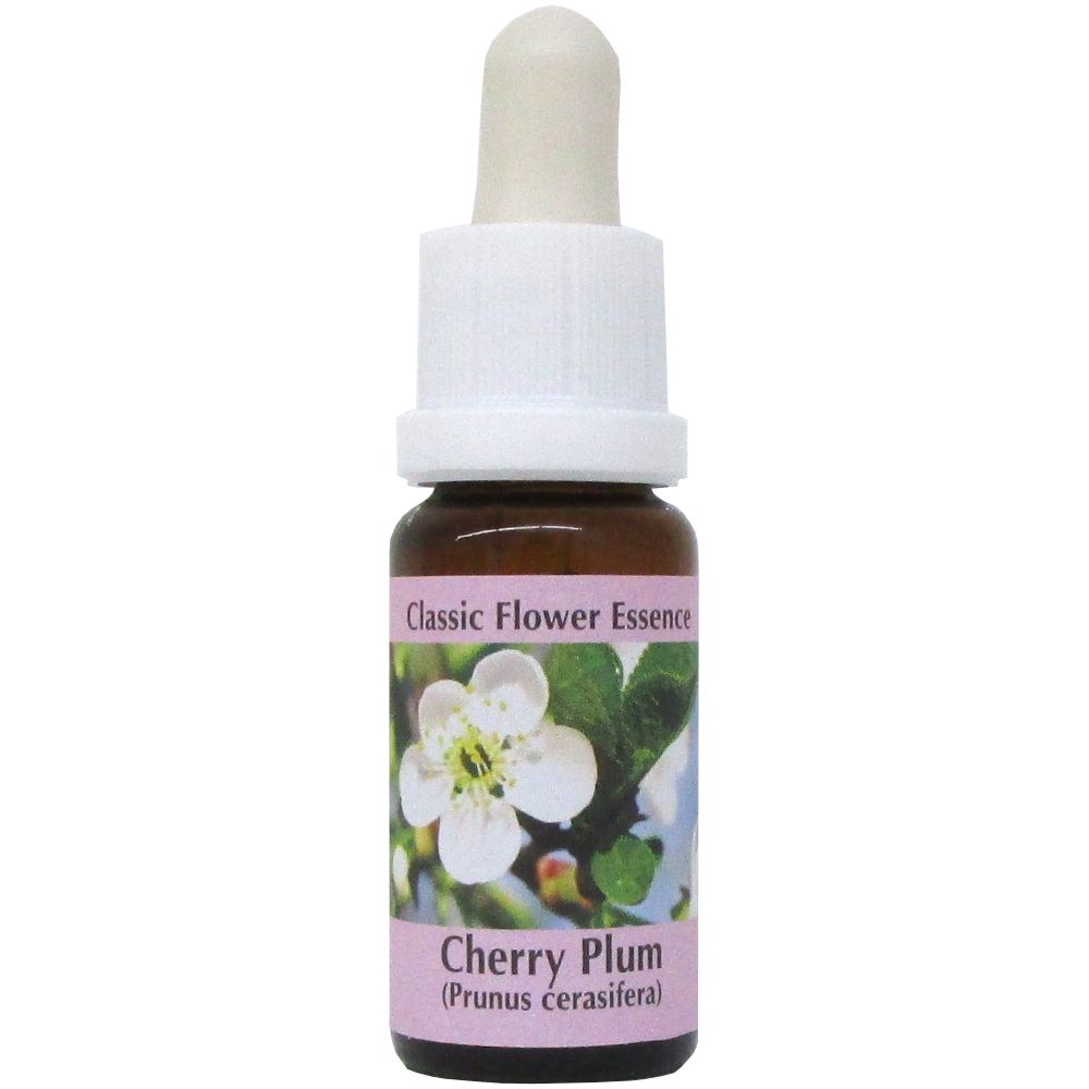 PHI Essences - Cherry Plum Bachblüte Nr. 6
