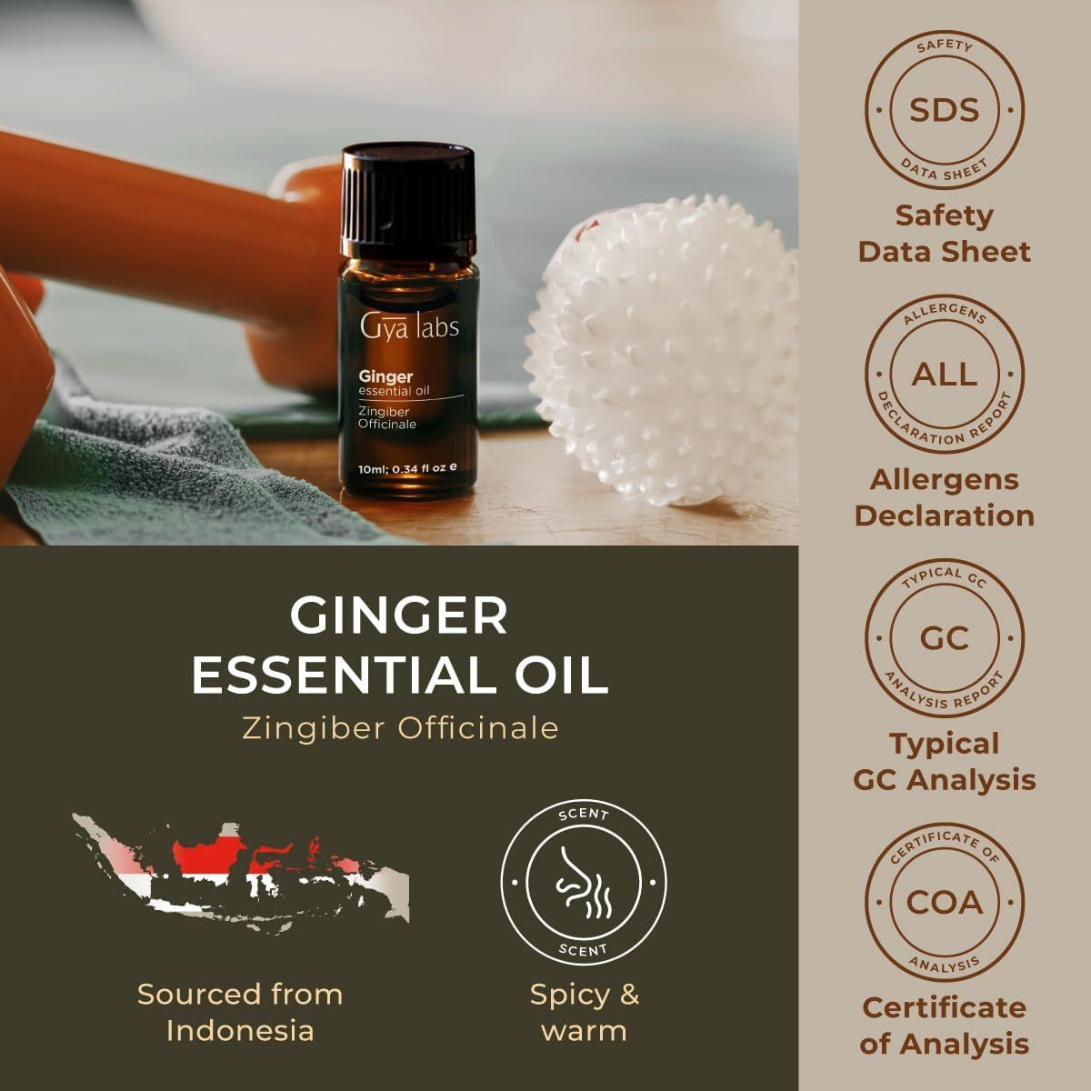 Gya Labs Ingweröl-Flasche, Text: GINGER ESSENTIAL OIL. Logos: Herkunft Indonesien, Spicy & warm, Zertifizierungen.