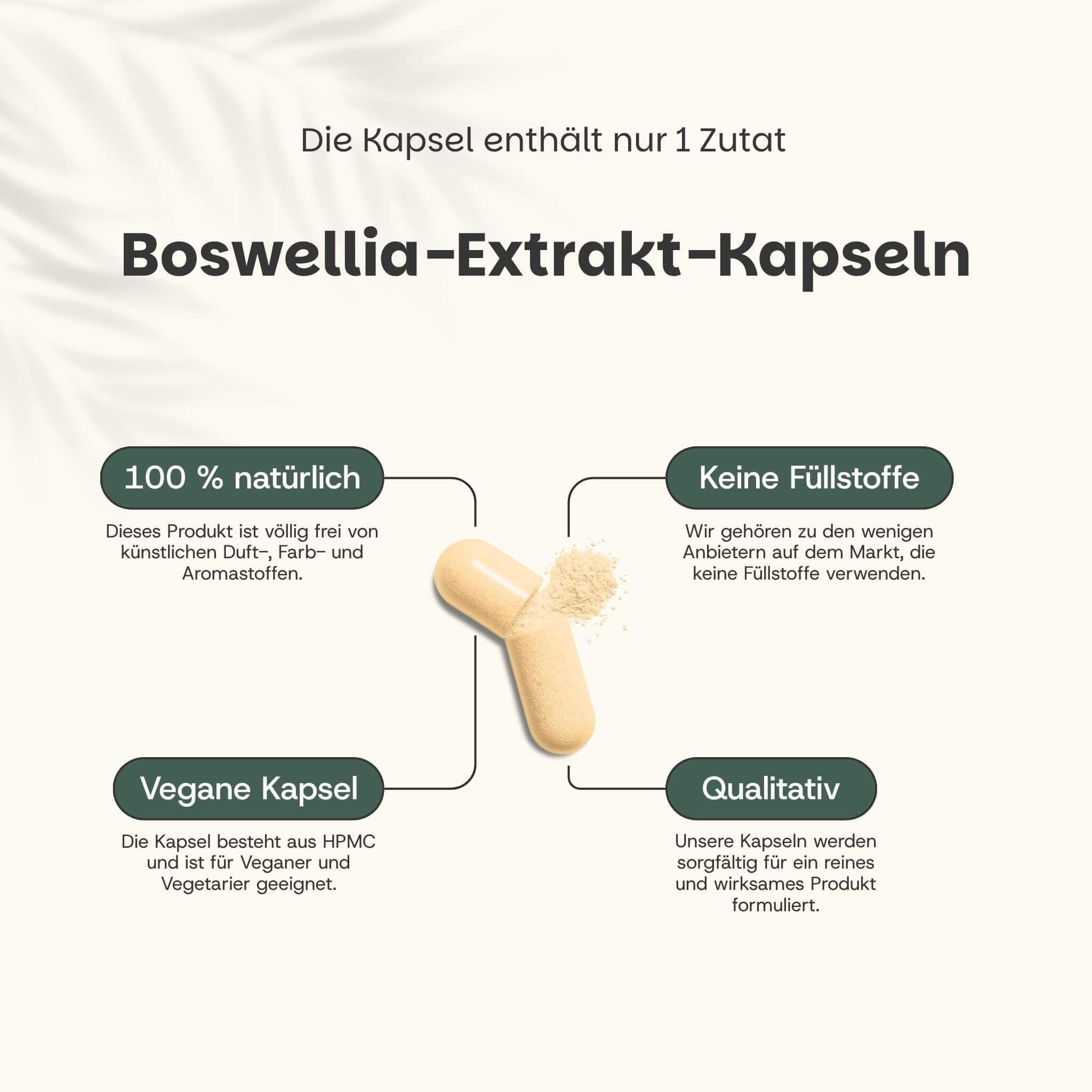 Kapsel mit Pulver. Text: Boswellia-Extrakt-Kapseln. 100% natürlich, keine Füllstoffe, vegane Kapsel, qualitativ.