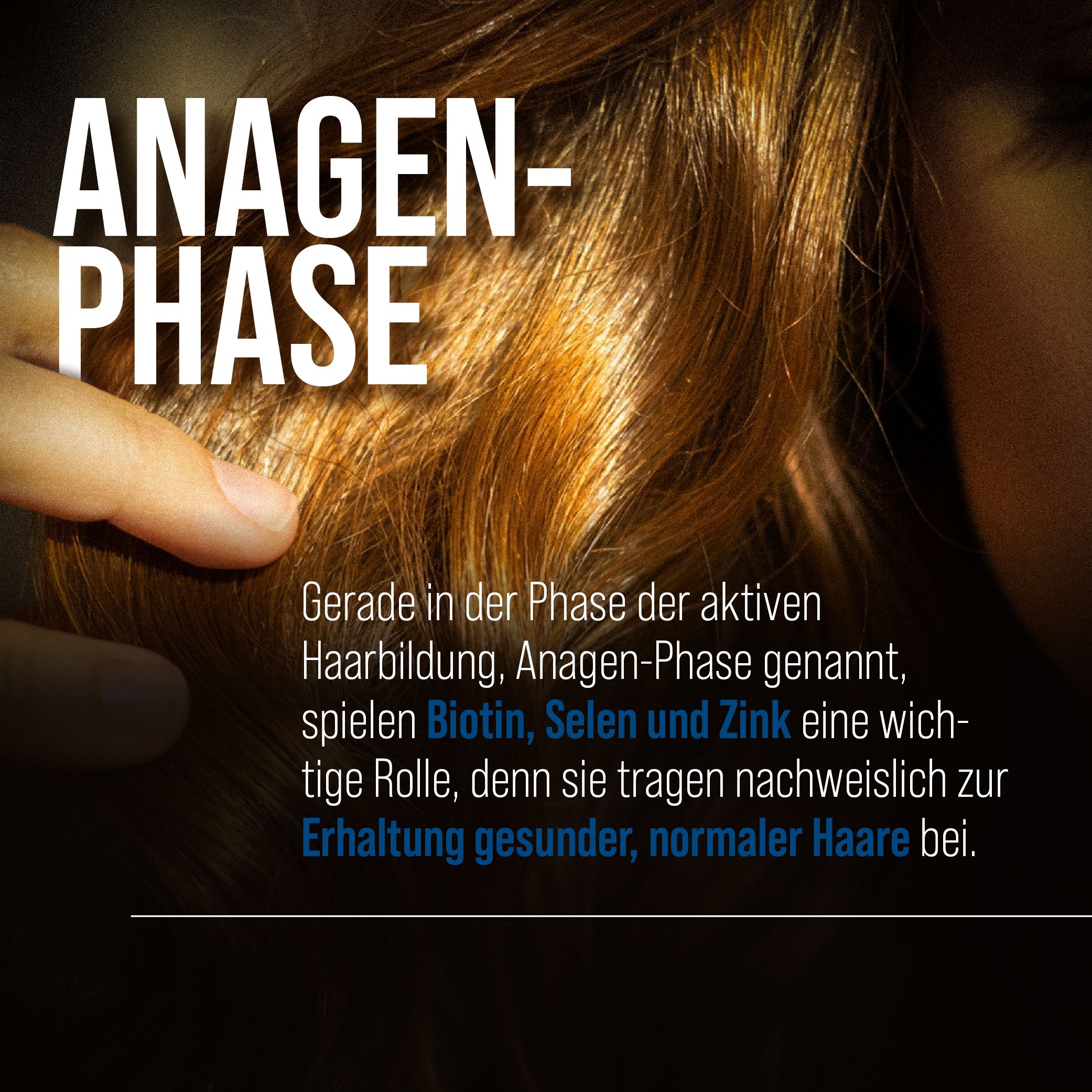 Nahaufnahme von Haaren. Text: "ANAGEN-PHASE". Text: "Gerade in der Phase der aktiven Haarbildung, Anagen-Phase genannt, spielen Biotin, Selen und Zink..."