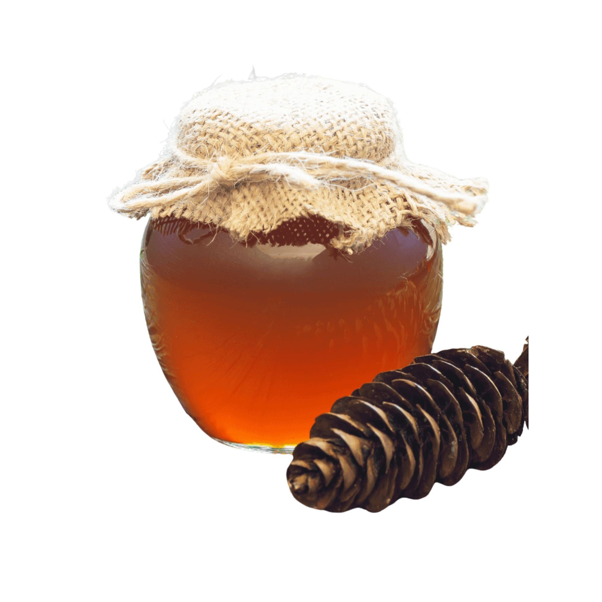 Toros Dagi Kiefernhonig 0,4 kg