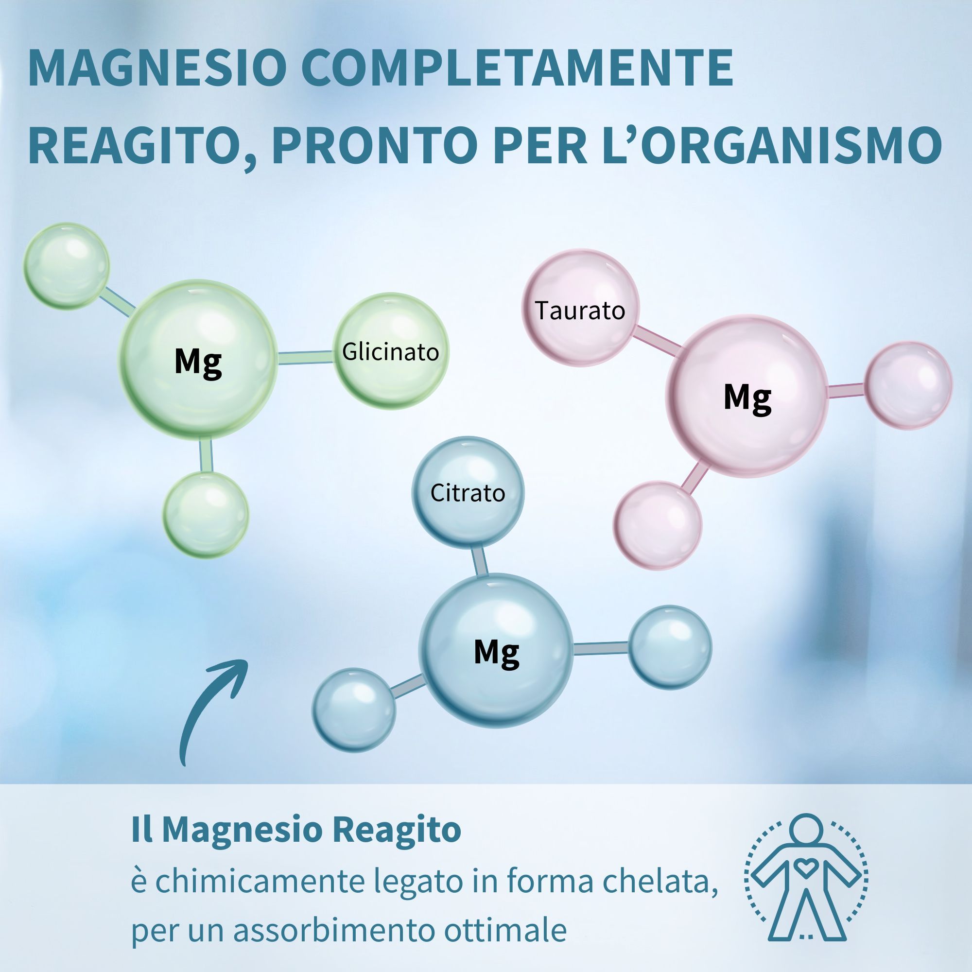 Molekulare Darstellung von Magnesiumcitrat, -taurat und -glycinat.