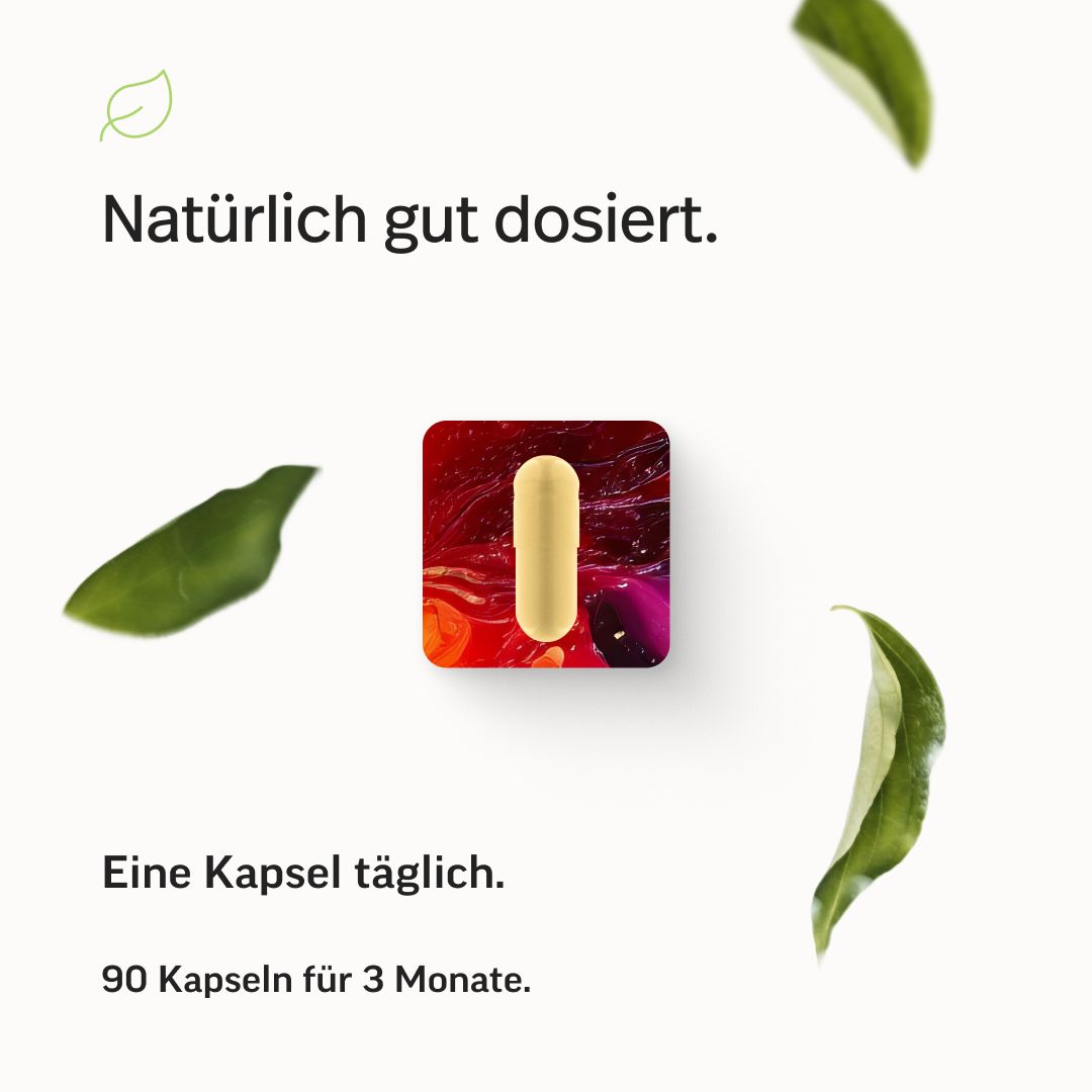 edubily® Vitamin B Komplex Kapseln