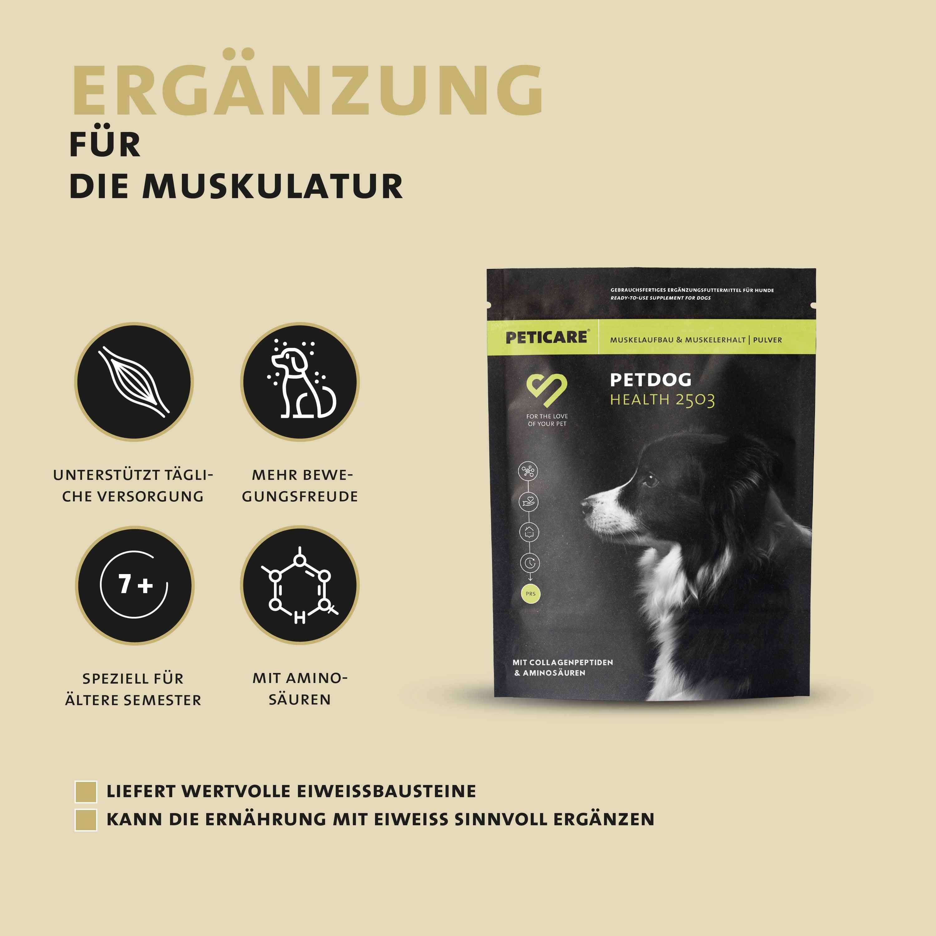 Produktbeutel neben Infografiken. Text: Ergänzung für die Muskulatur, unterstützt tägliche Versorgung, mehr Bewegungsfreude, mit Aminosäuren.