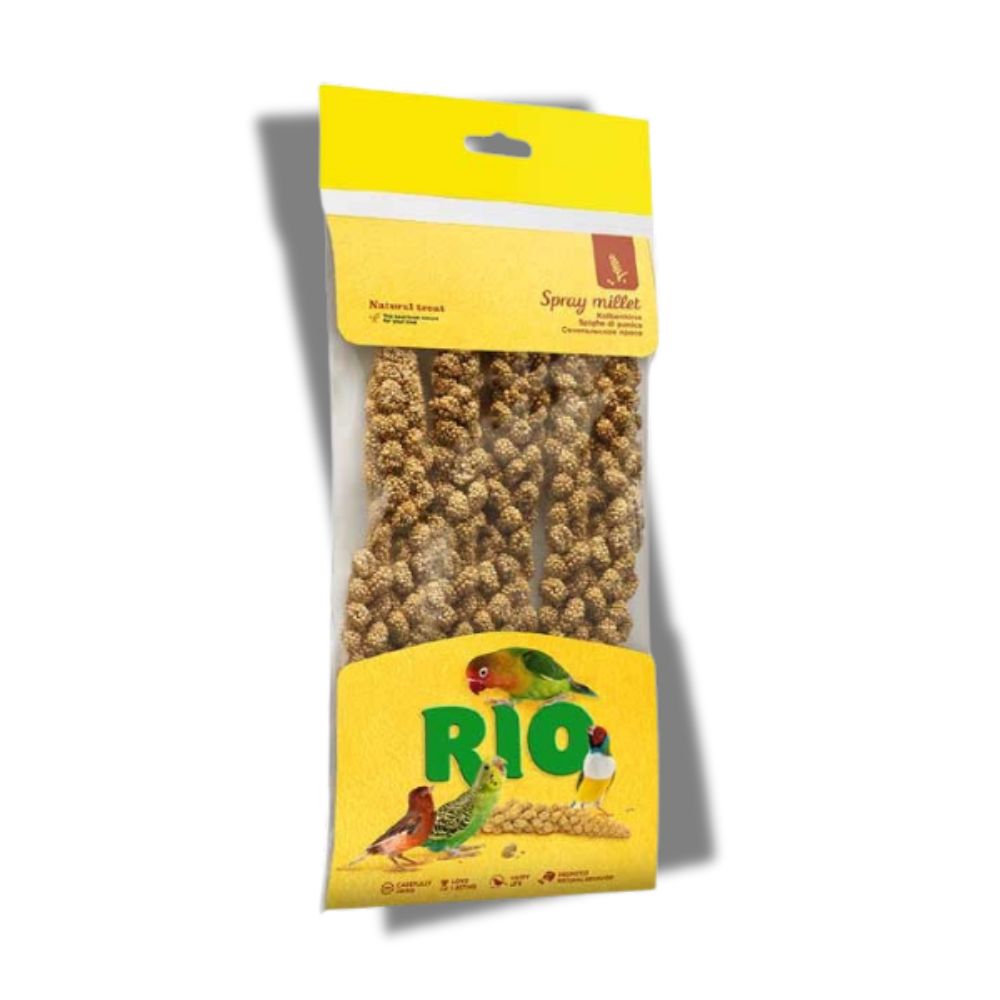 RIO Kolbenhirse für Vögel