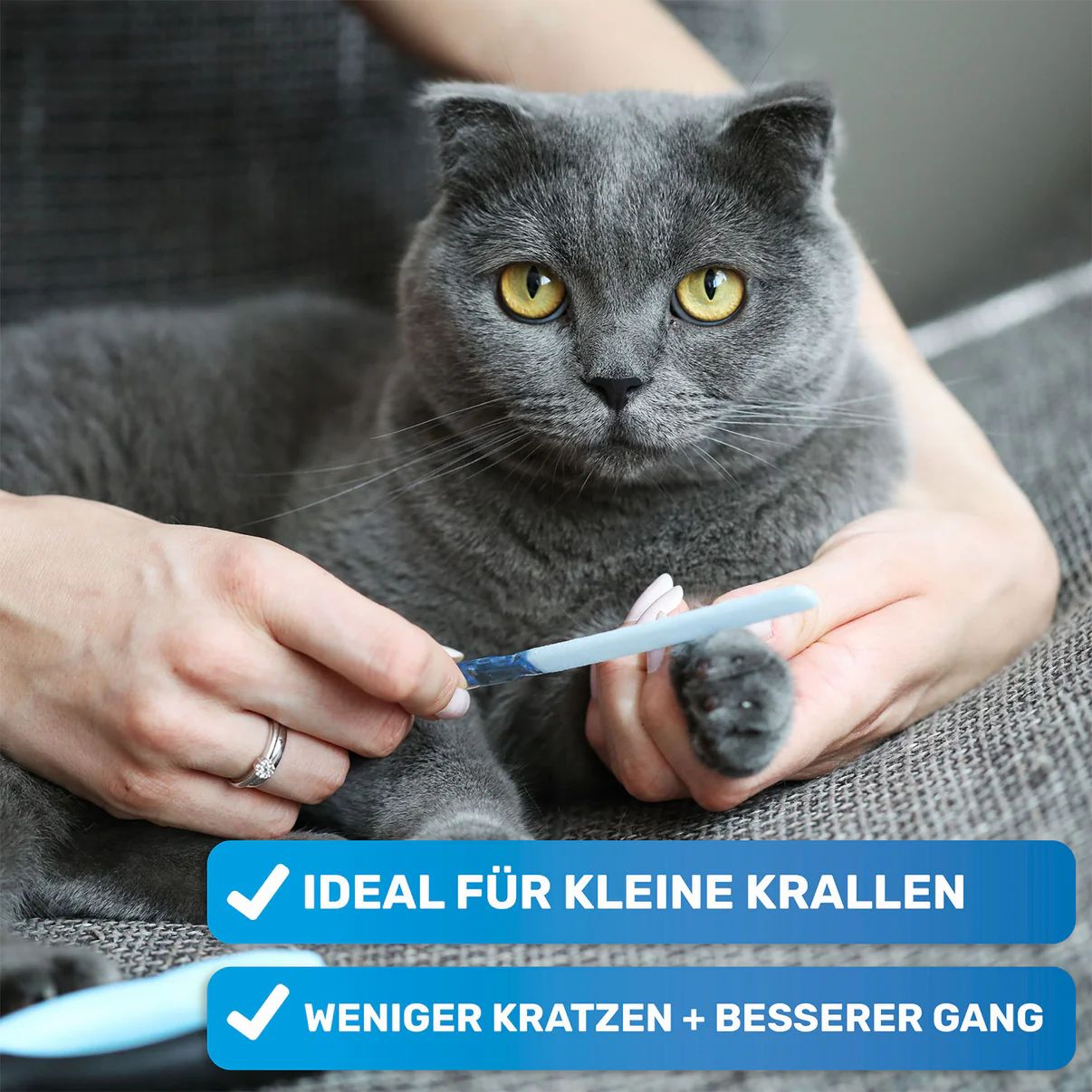 Person hält eine blaue Krallenfeile, um die Krallen einer grauen Katze zu feilen. Text: Ideal für kleine Krallen, weniger Kratzen + besserer Gang.