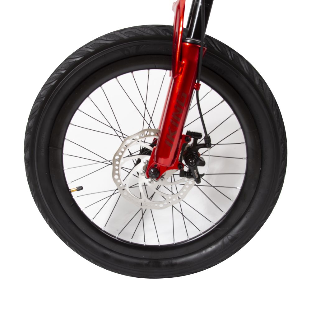 Rotes Elektrofahrrad, Detailansicht Vorderrad. Schwarzer Reifen, Bremsscheibe. Felge mit Speichen.