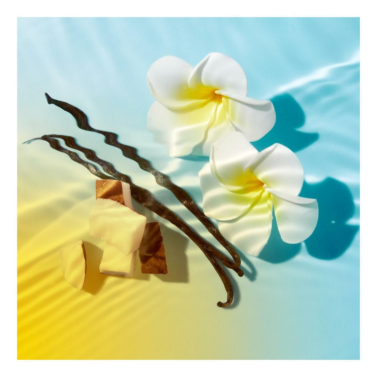 Zwei Frangipani-Blüten, Vanilleschoten und Kokosnussstücke auf einem blau-gelben Hintergrund.