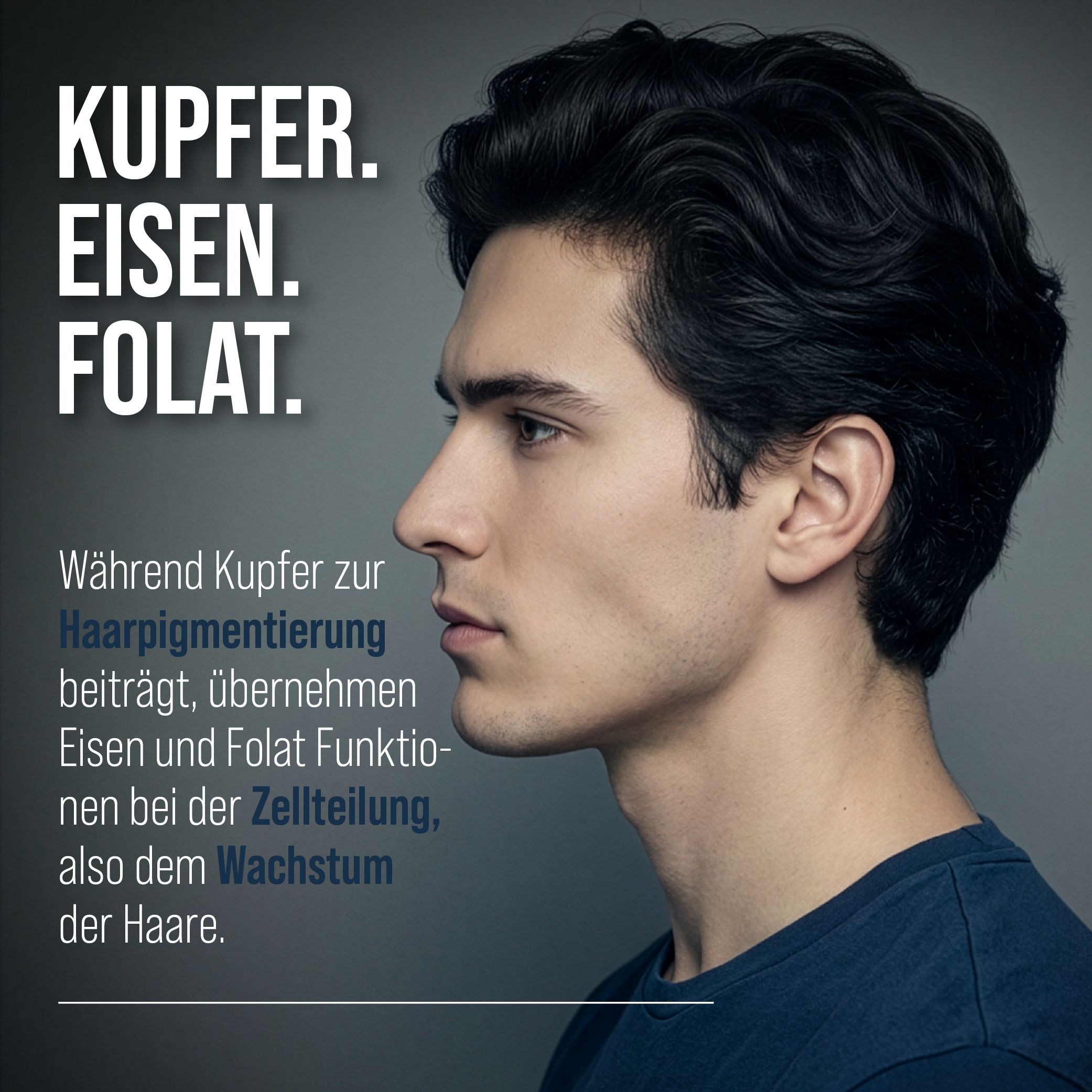 Profil eines Mannes mit dunklem Haar. Text: "KUPFER. EISEN. FOLAT.". Text: "Während Kupfer zur Haarpigmentierung beiträgt, übernehmen Eisen und Folat Funktionen..."