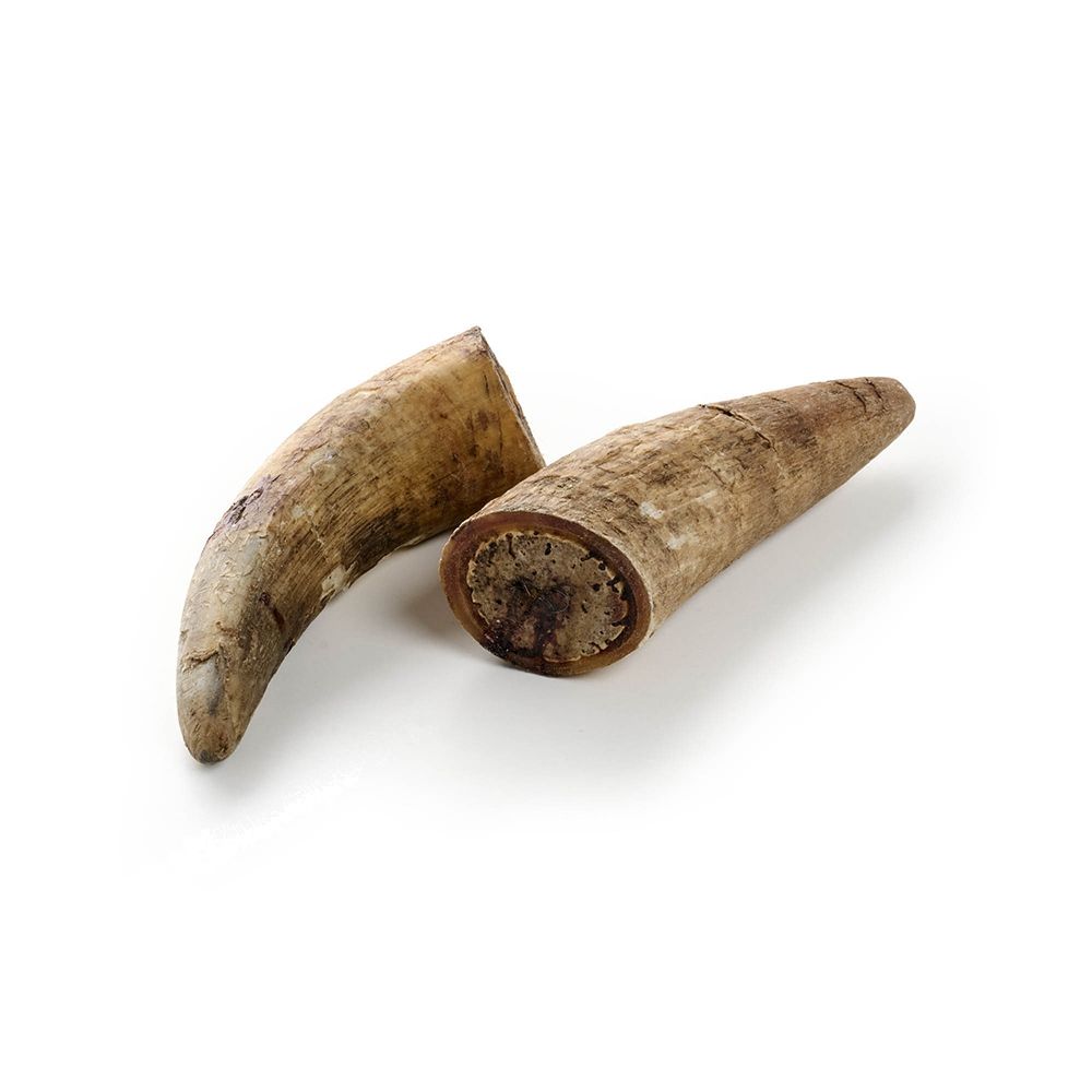Kauartikel.com Rinder-Horn 250 g