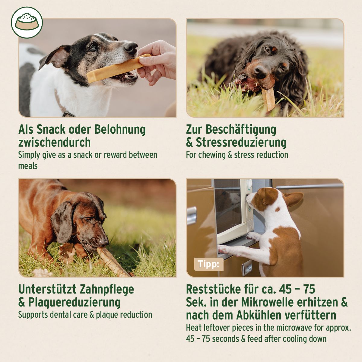 Vier Fotos zeigen Hunde mit Käsekauknochen. Als Snack, zur Beschäftigung, unterstützt Zahnpflege. Tipp: Erhitzen in der Mikrowelle.