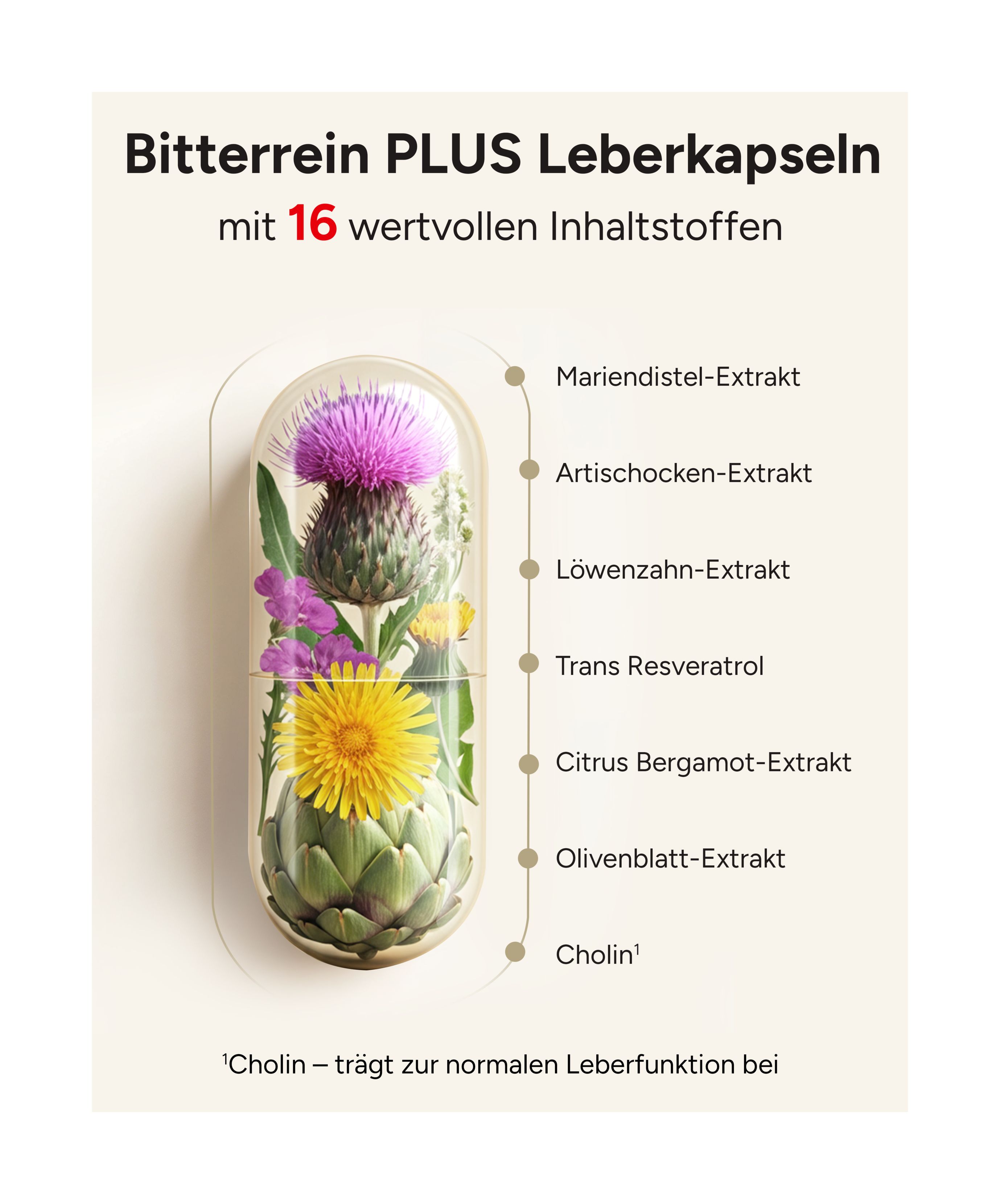 Kapsel mit Mariendistel, Artischocke, Löwenzahn, Resveratrol und Cholin. Text: 16 wertvolle Inhaltsstoffe.