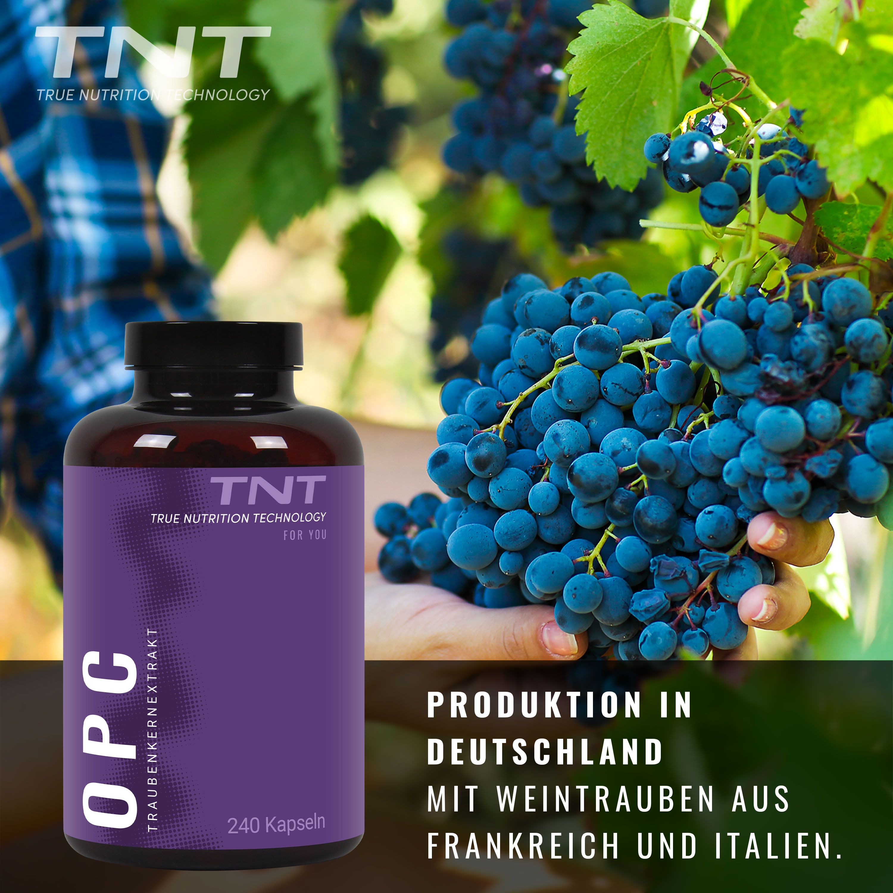 Flasche mit lila Etikett vor Weinreben. Aufschrift: TNT OPC Traubenkernextrakt. 240 Kapseln. Text: Produktion in Deutschland.