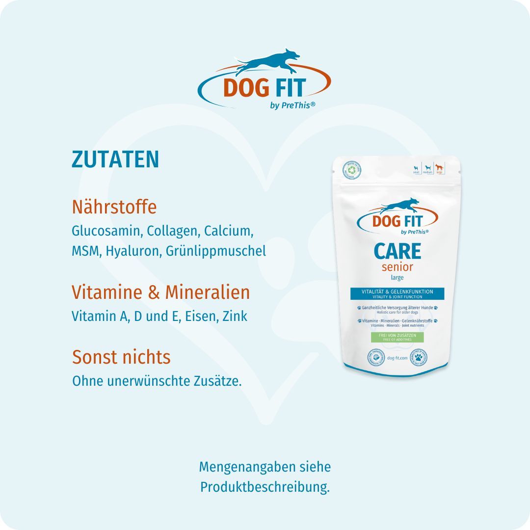 Produktverpackung DOG FIT CARE senior large neben Text. Text: Zutaten: Glucosamin, Collagen, Calcium, MSM, Hyaluron, Grünlippmuschel.